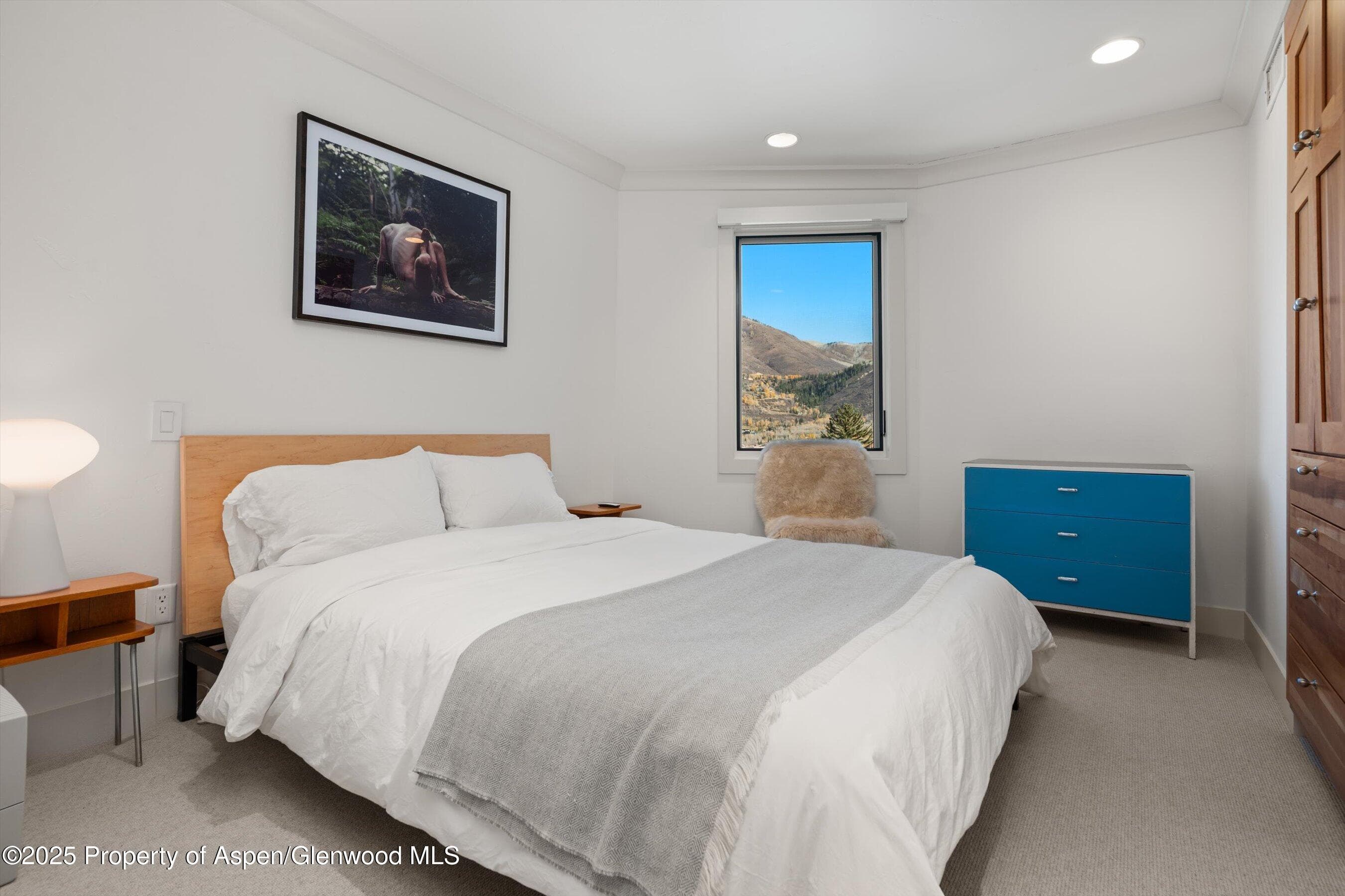 809 S Aspen Street 17, Aspen, CO 81611 - Photo 21