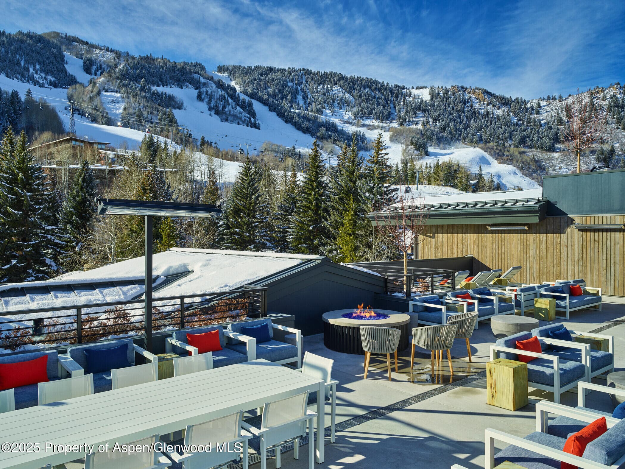 550 S Spring Street F2-1, Aspen, CO 81611 - Photo 11