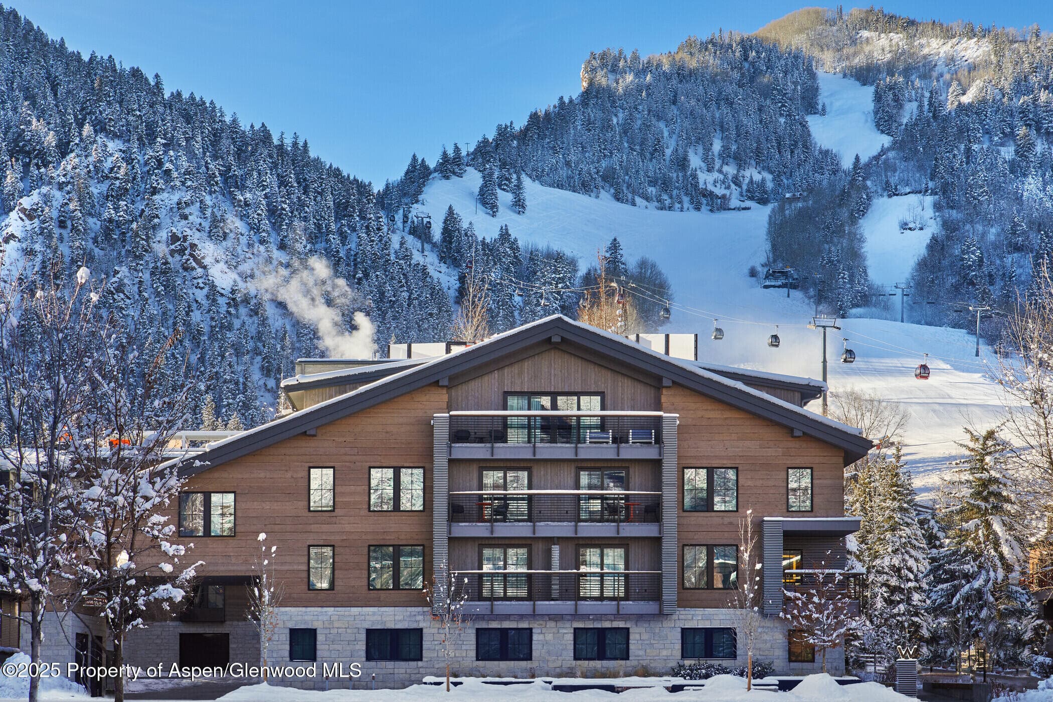 550 S Spring Street F2-1, Aspen, CO 81611