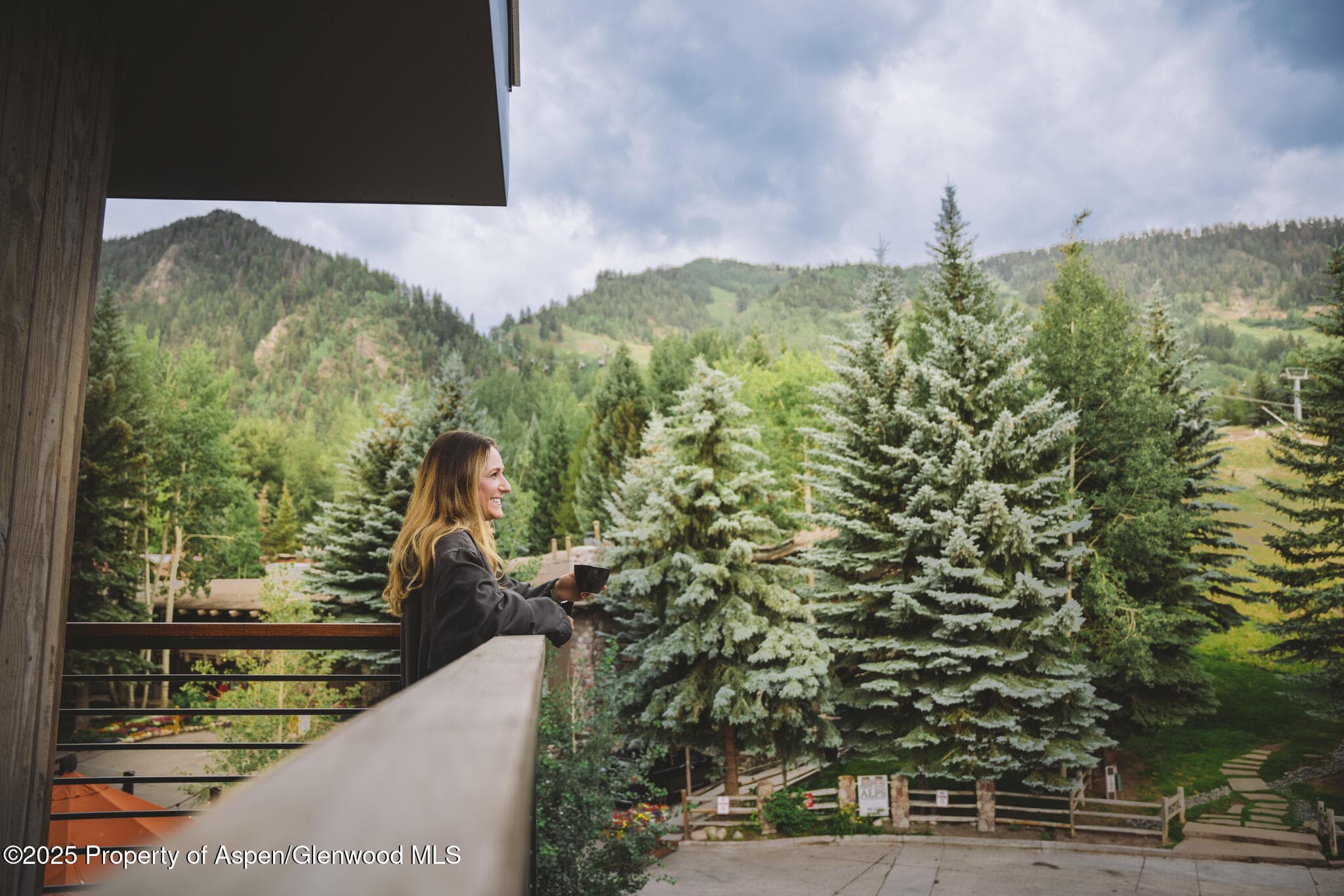550 S Spring Street F2-1, Aspen, CO 81611 - Photo 8