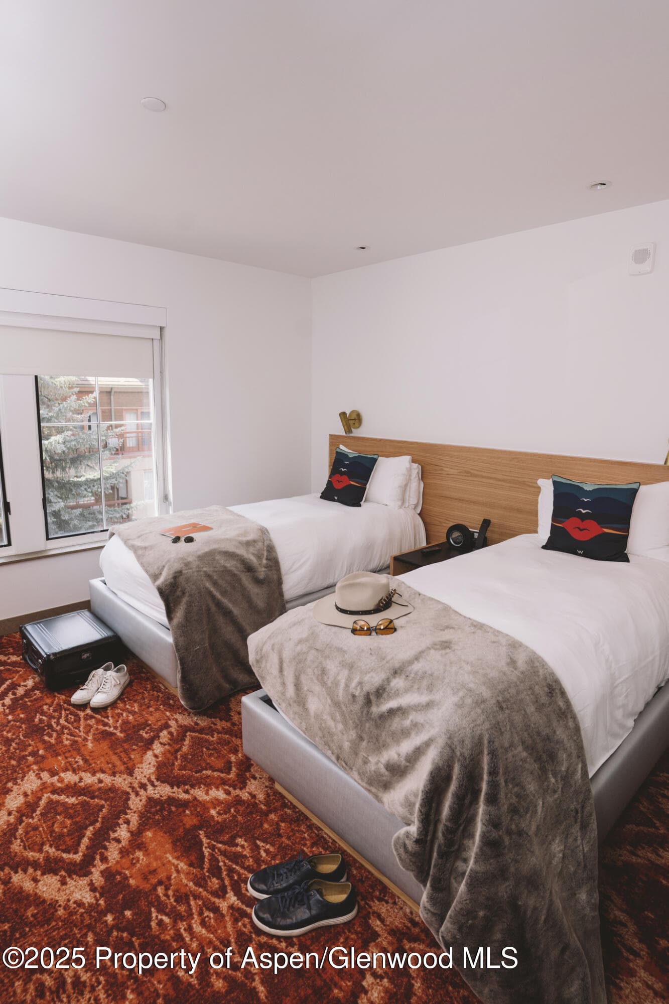 550 S Spring Street F2-1, Aspen, CO 81611 - Photo 7