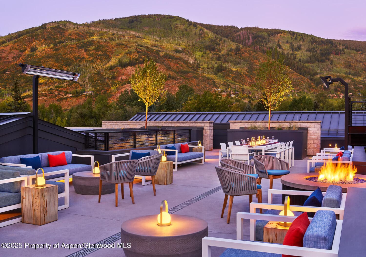 550 S Spring Street F2-1, Aspen, CO 81611 - Photo 12