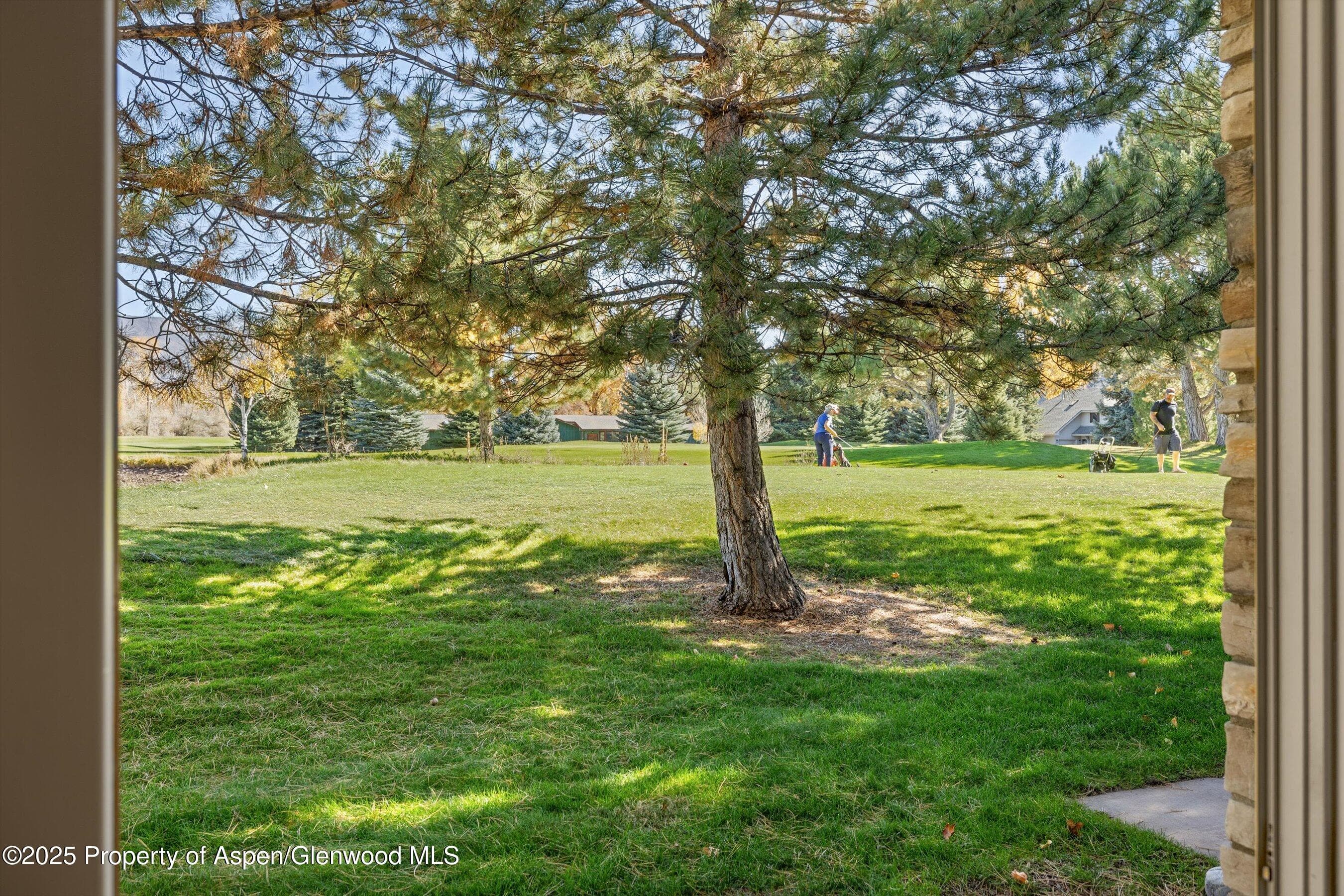 14913 Hwy 82 247, Carbondale, CO 81623 - Photo 16