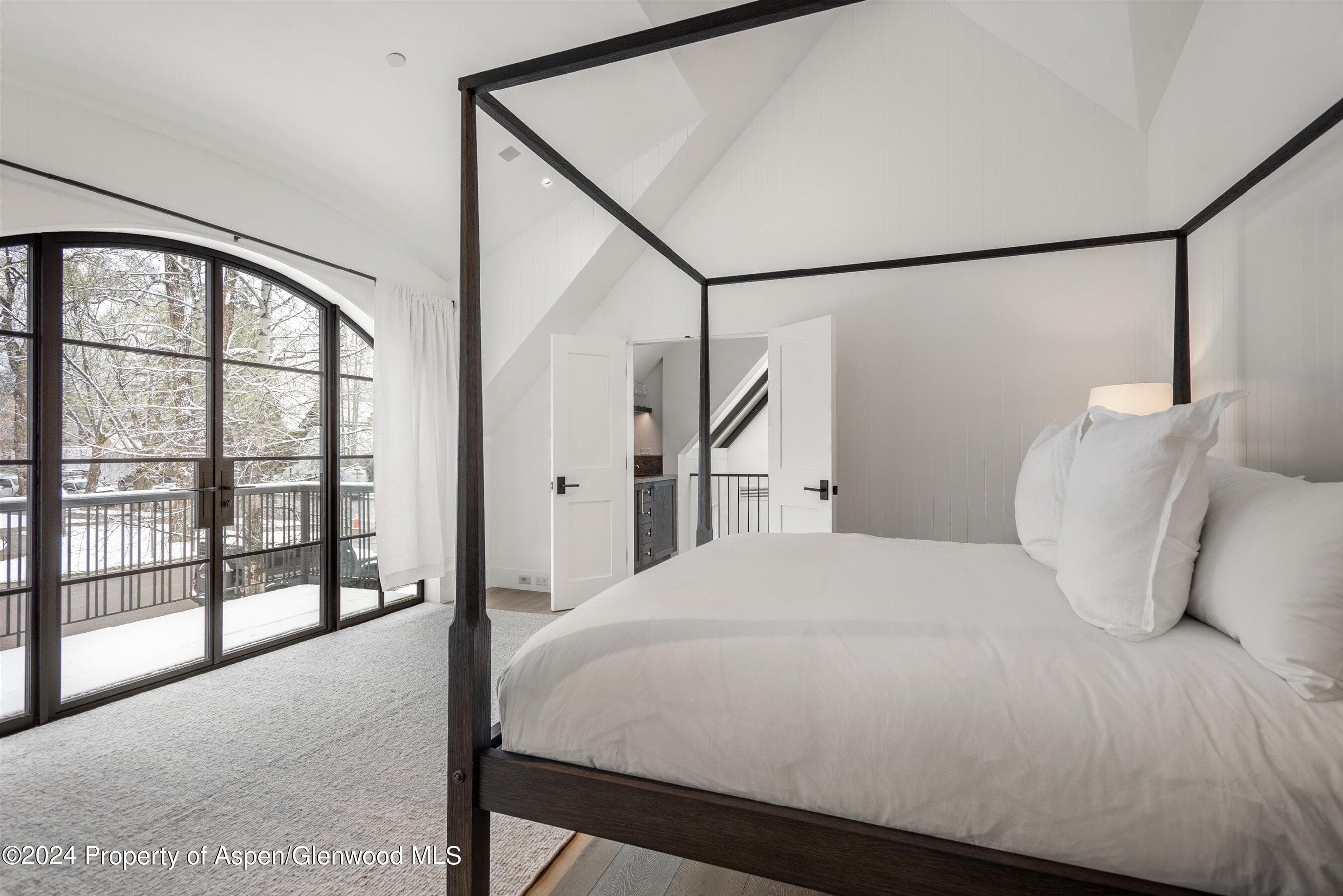 134 E Bleeker Street, Aspen, CO 81611 - Photo 18