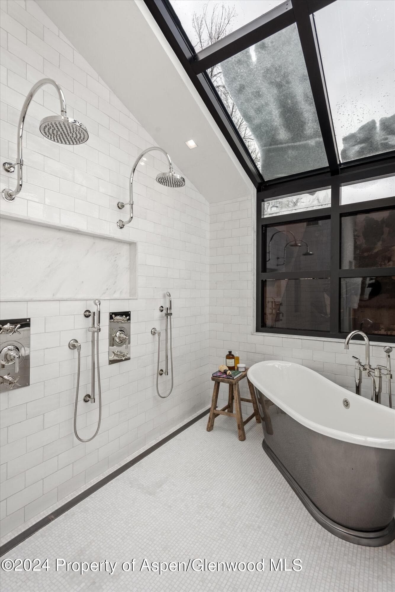 134 E Bleeker Street, Aspen, CO 81611 - Photo 21