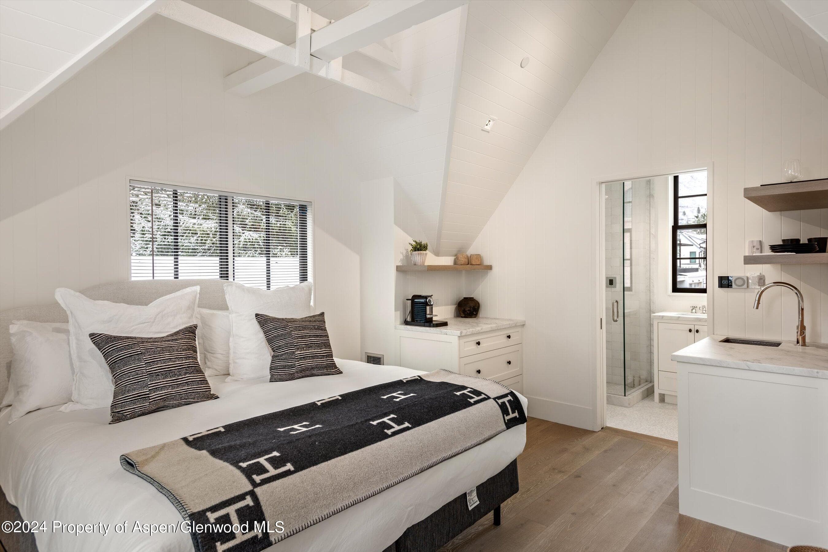 134 E Bleeker Street, Aspen, CO 81611 - Photo 36