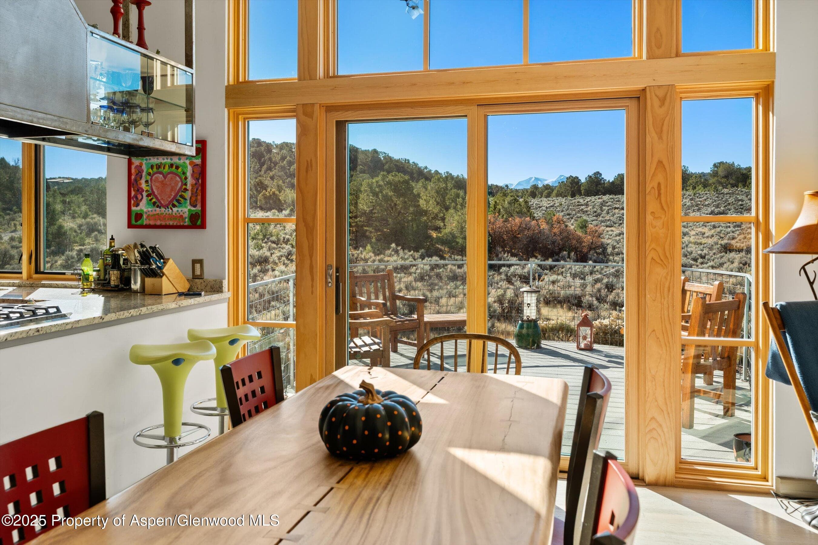 525 Cactus Flats Road, Carbondale, CO 81623 - Photo 12