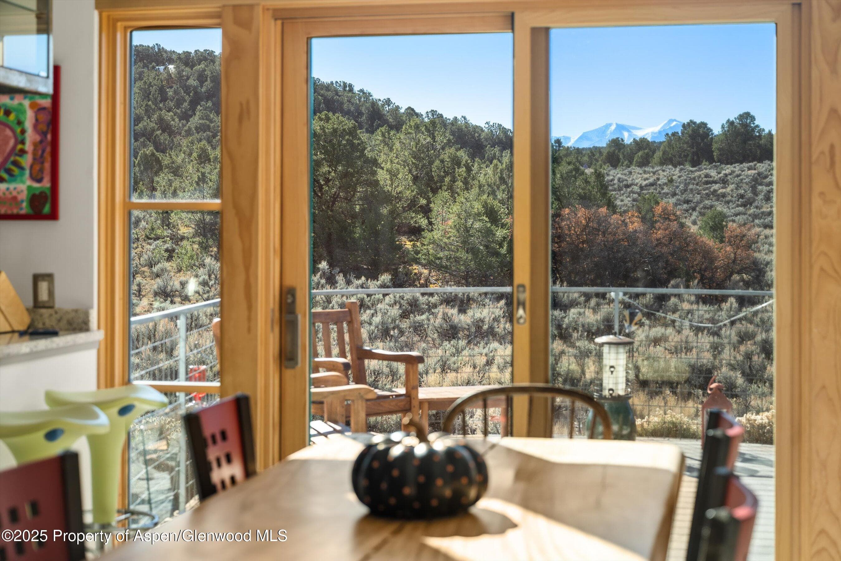 525 Cactus Flats Road, Carbondale, CO 81623 - Photo 13