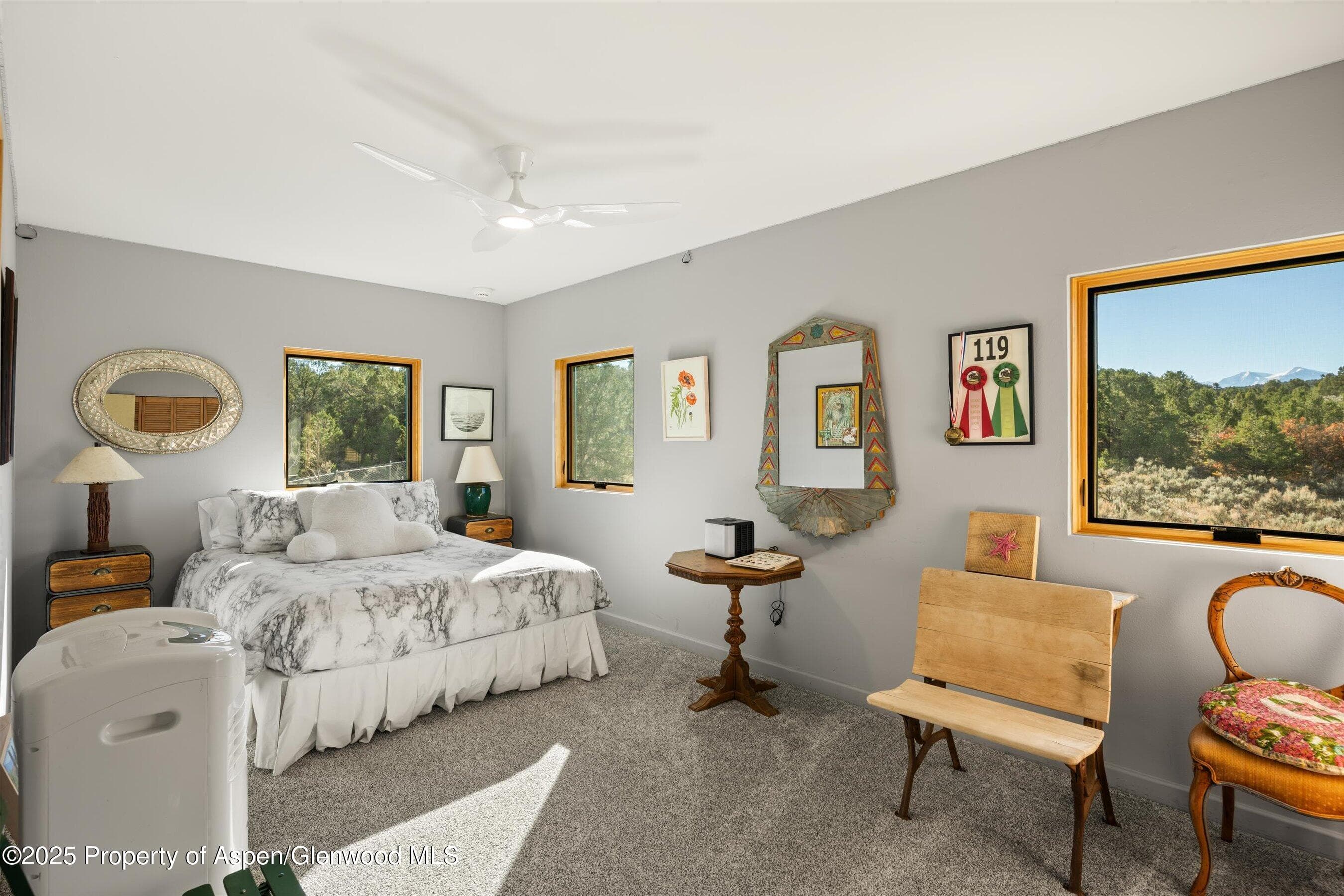 525 Cactus Flats Road, Carbondale, CO 81623 - Photo 21