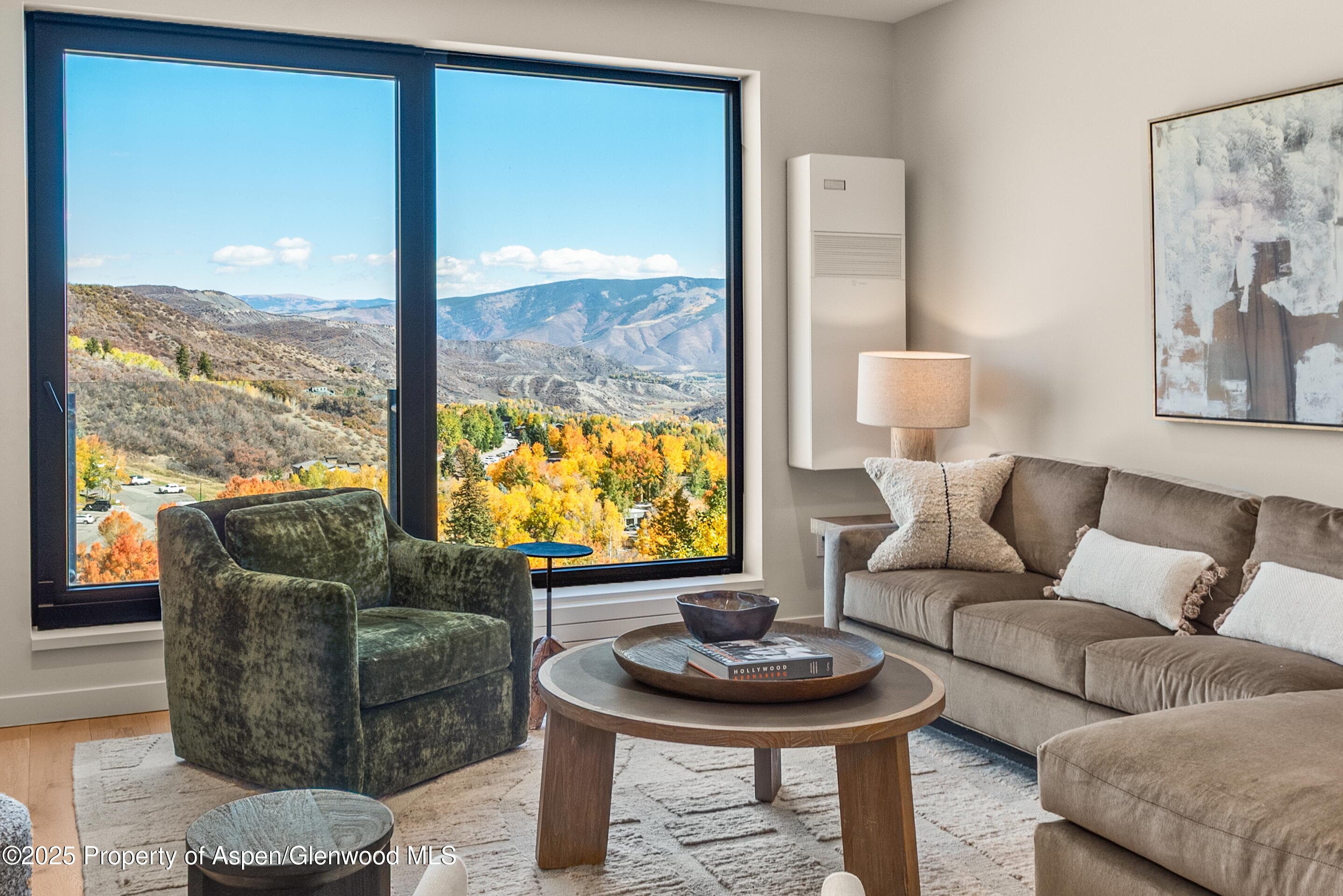 119 Wood Road 404, Snowmass Village, CO 81615 - Photo 2