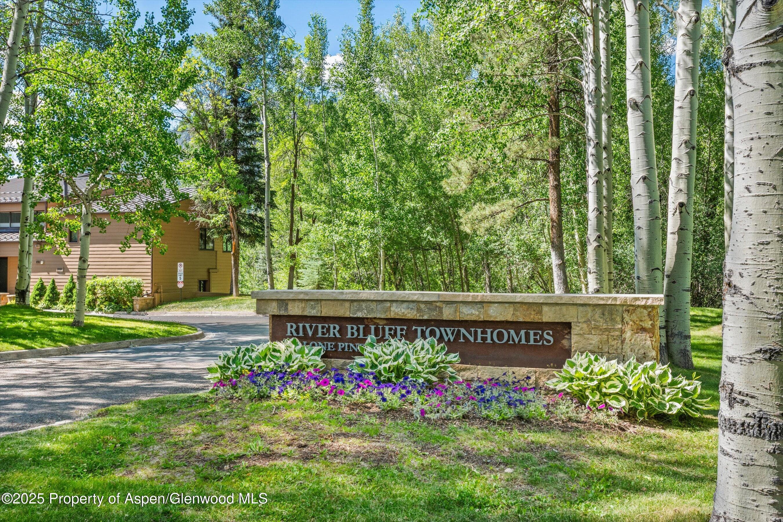 155 Lone Pine Road River Bluff #2, Aspen, CO 81611 - Photo 37