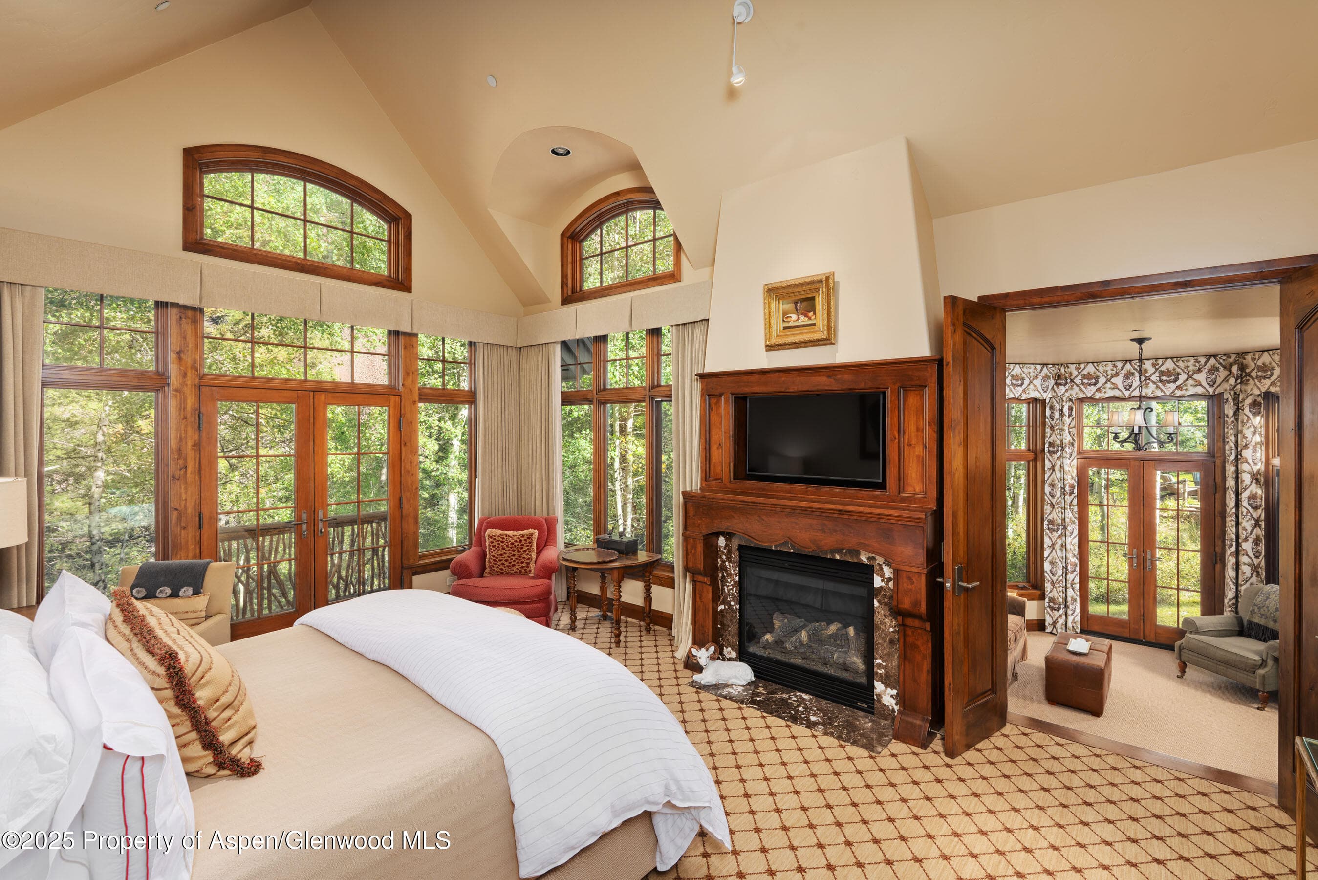 800 S Hayden, Aspen, CO 81611 - Photo 30