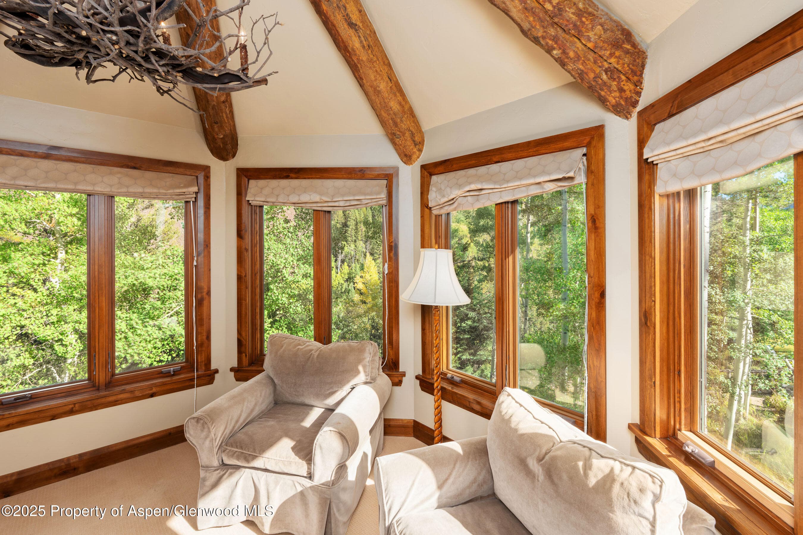 800 S Hayden, Aspen, CO 81611 - Photo 29