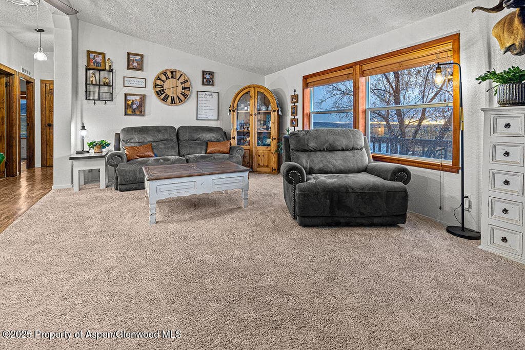 6181 HIGHWAY 394, Craig, CO 81625 - Photo 12