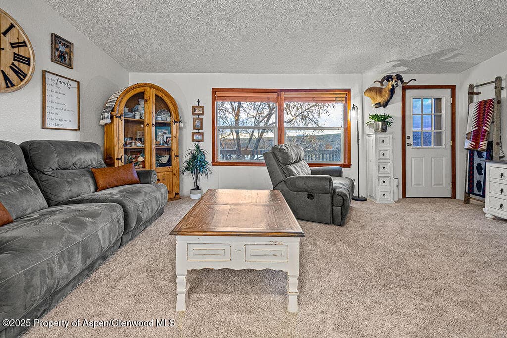 6181 HIGHWAY 394, Craig, CO 81625 - Photo 14