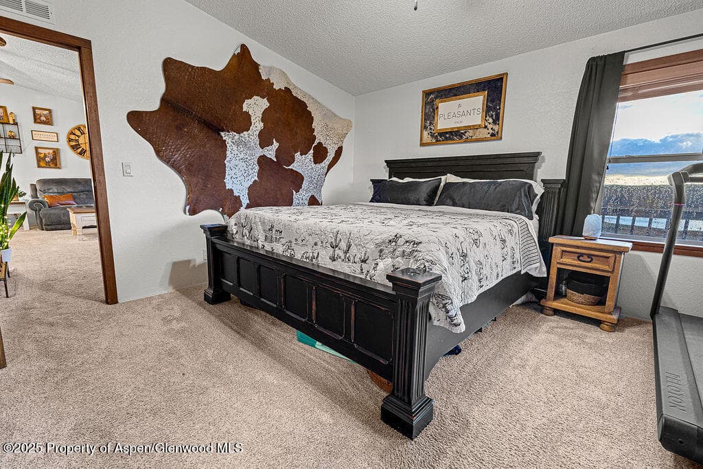 6181 HIGHWAY 394, Craig, CO 81625 - Photo 19