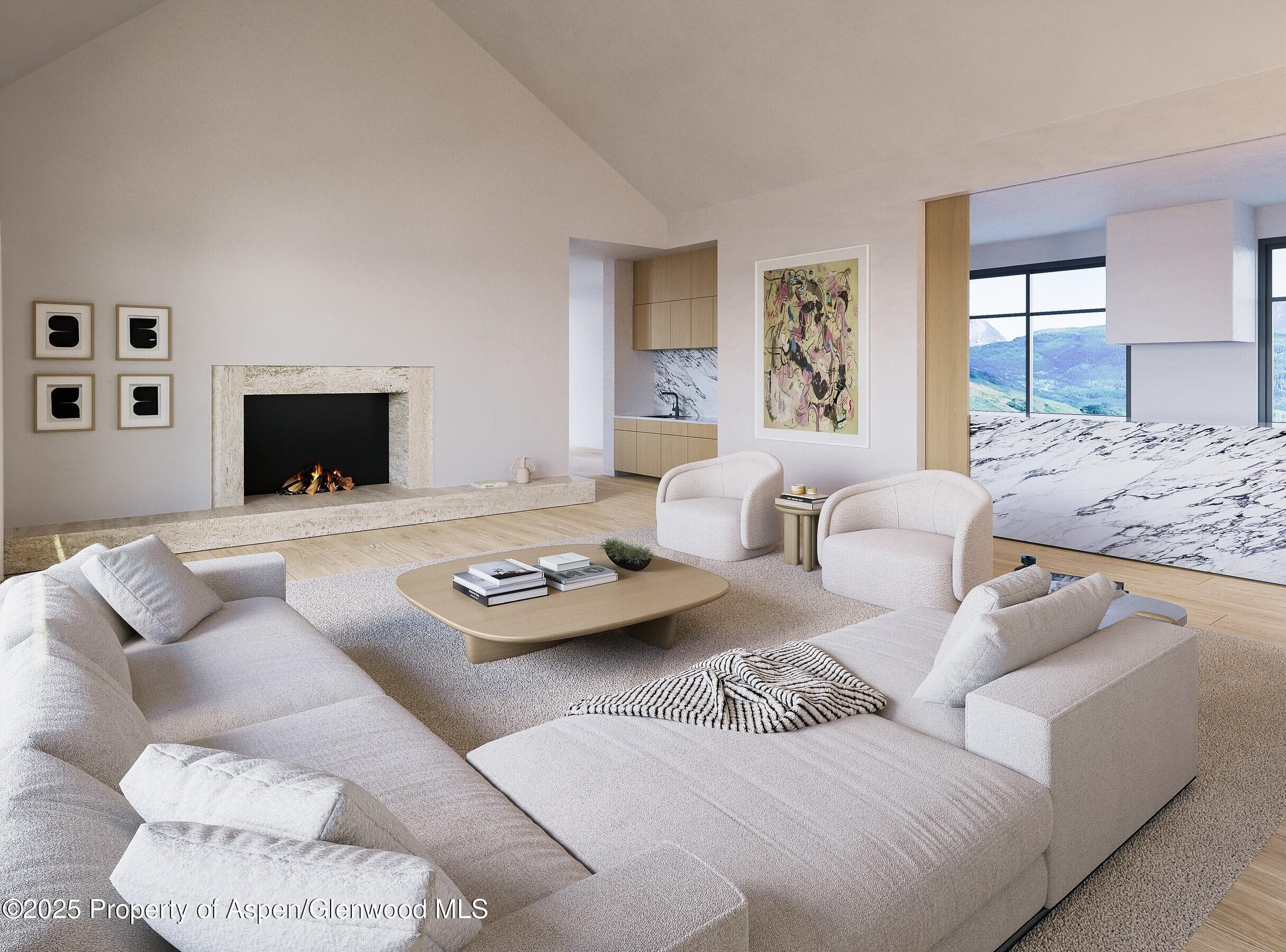 114-116 White Star Lane, Aspen, CO 81611 - Photo 13