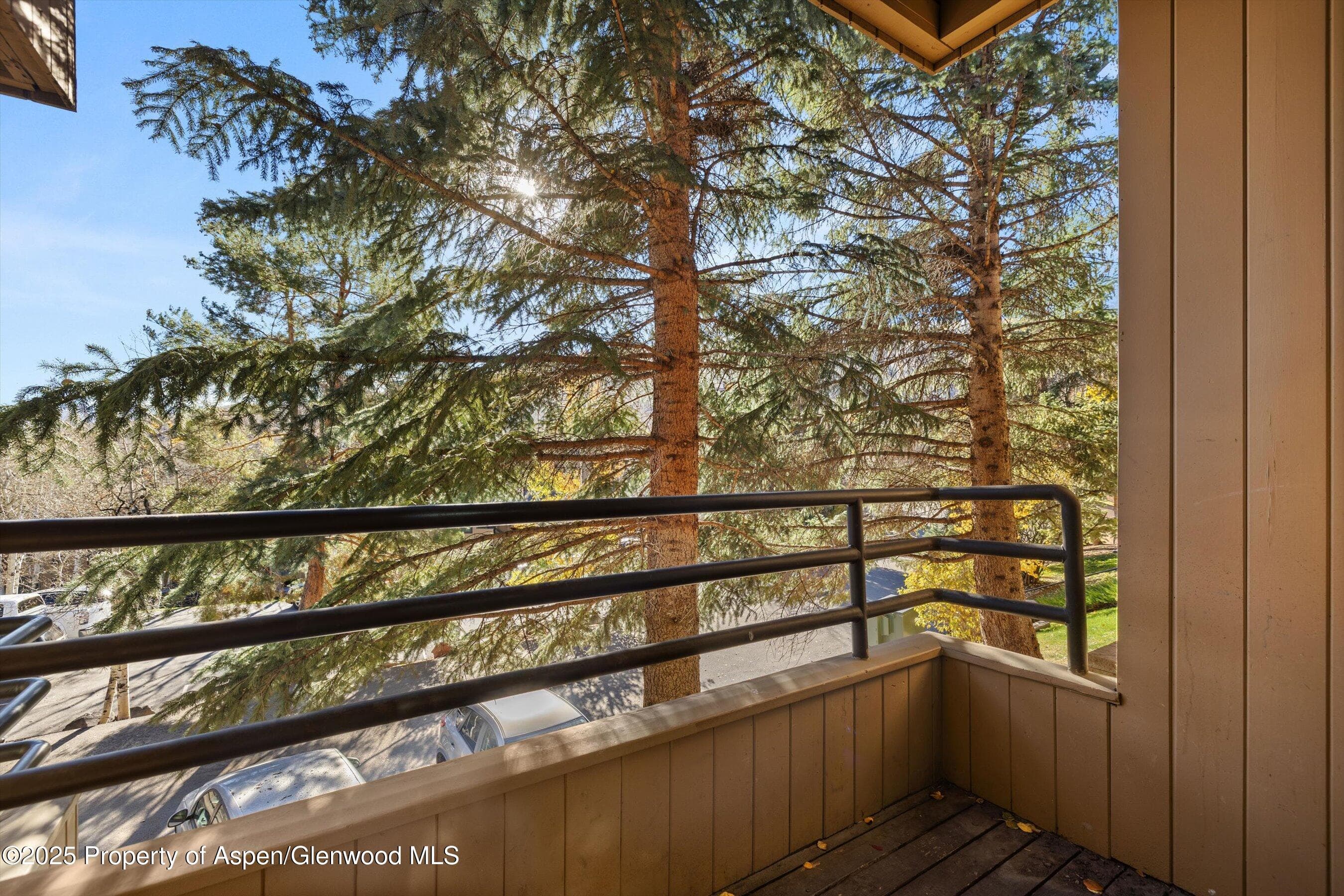 35 Lower Woodbridge Road V/177, Snowmass Village, CO 81615 - Photo 8