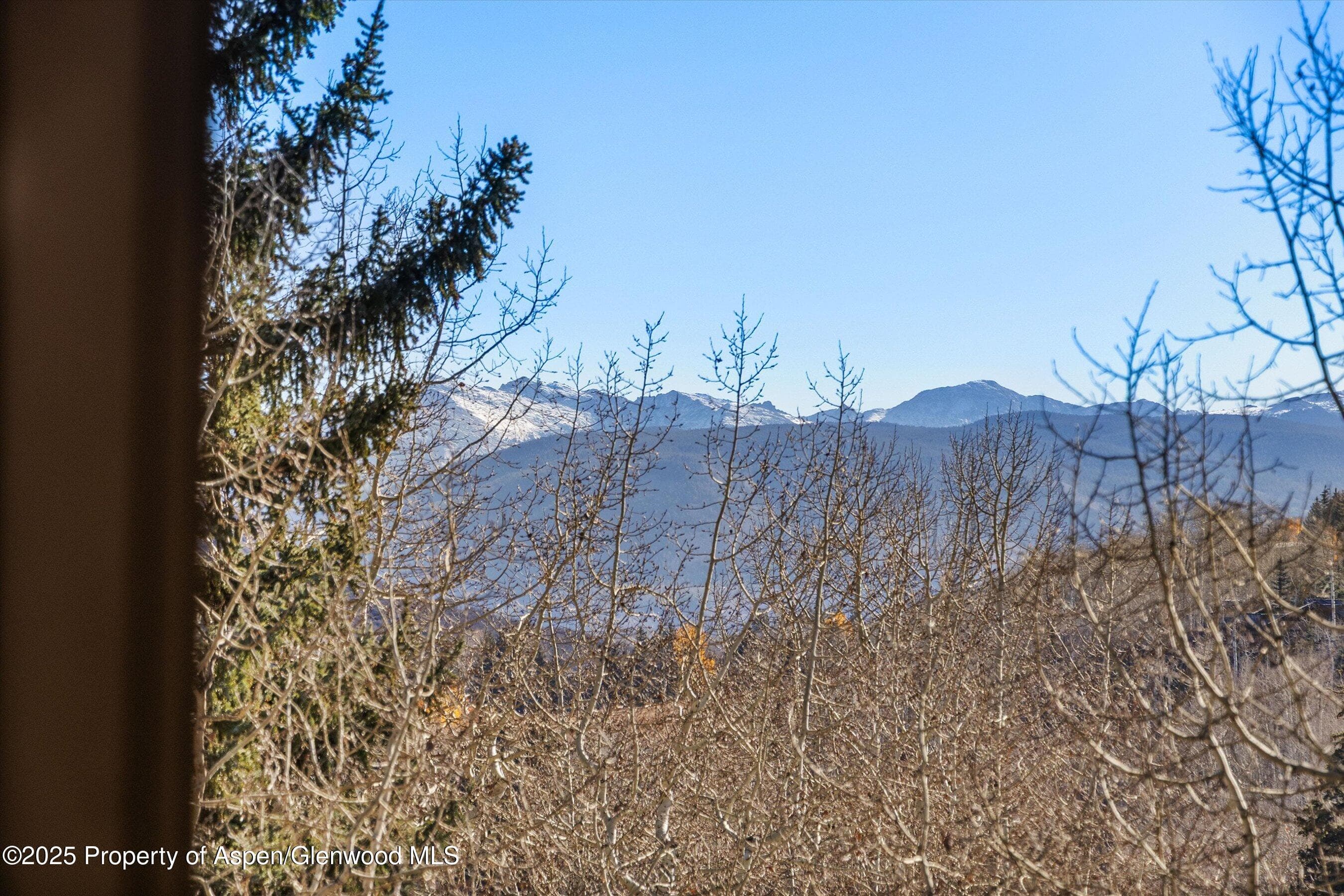 35 Lower Woodbridge Road V/177, Snowmass Village, CO 81615 - Photo 9
