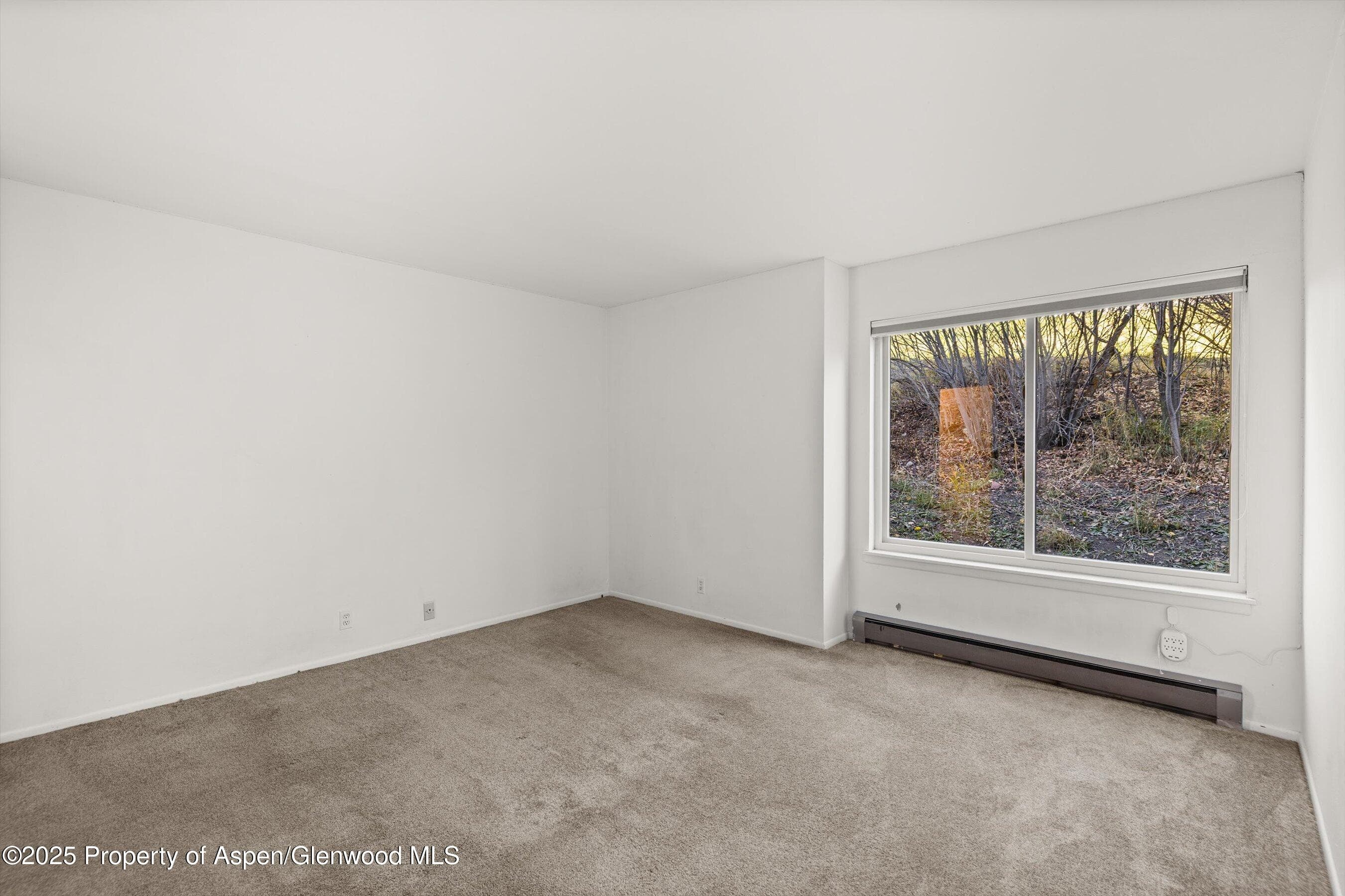 35 Lower Woodbridge Road V/177, Snowmass Village, CO 81615 - Photo 10