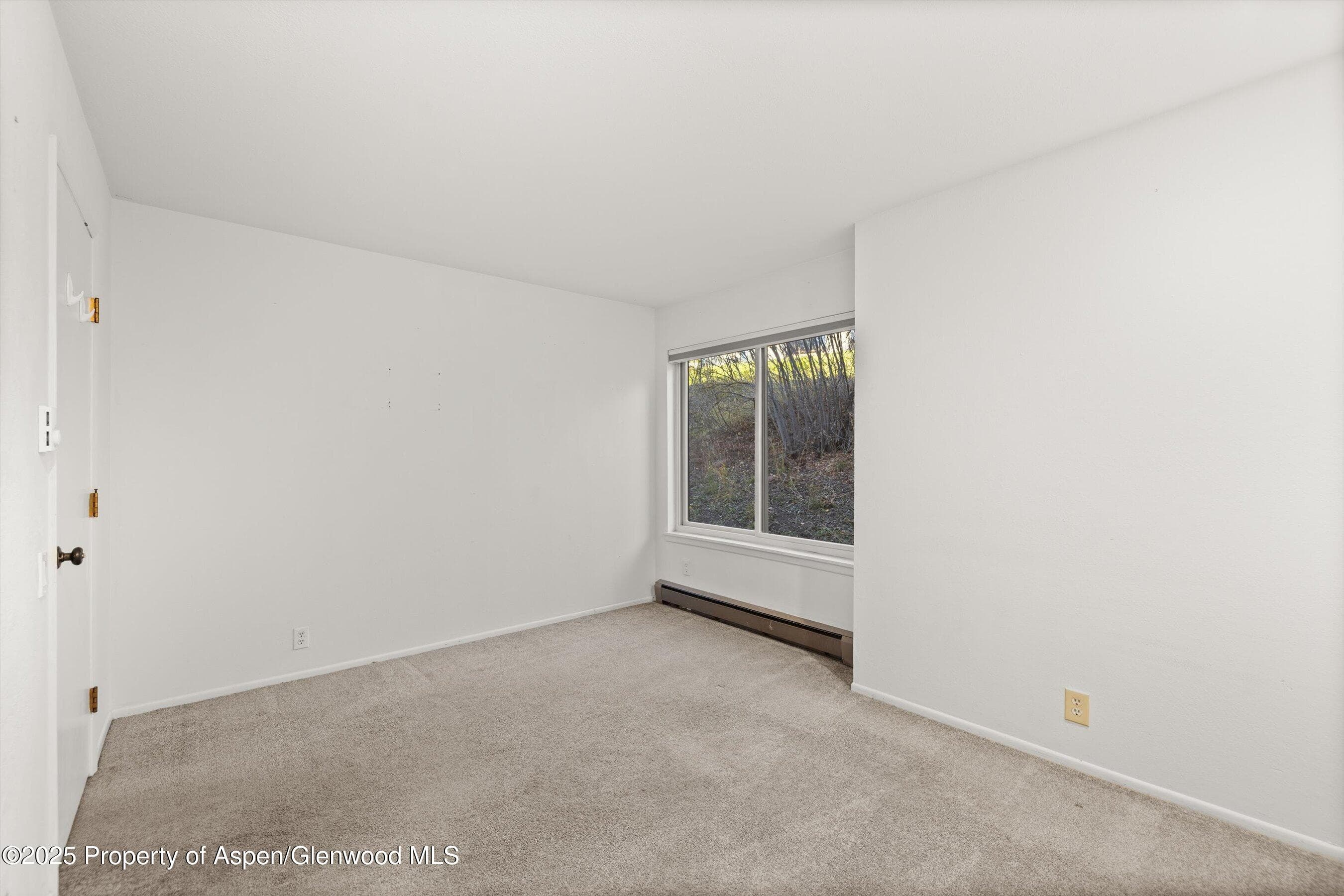 35 Lower Woodbridge Road V/177, Snowmass Village, CO 81615 - Photo 13