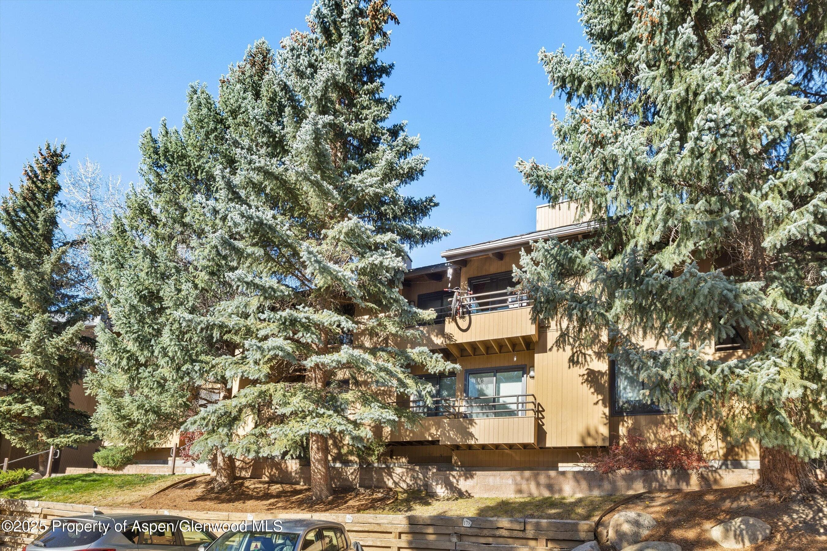 35 Lower Woodbridge Road V/177, Snowmass Village, CO 81615 - Photo 17