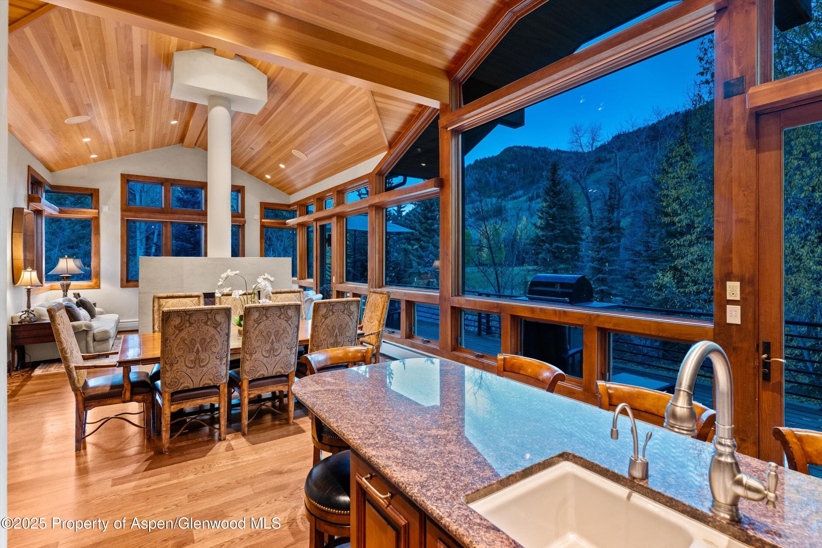 315 S First Street, Aspen, CO 81611 - Photo 7