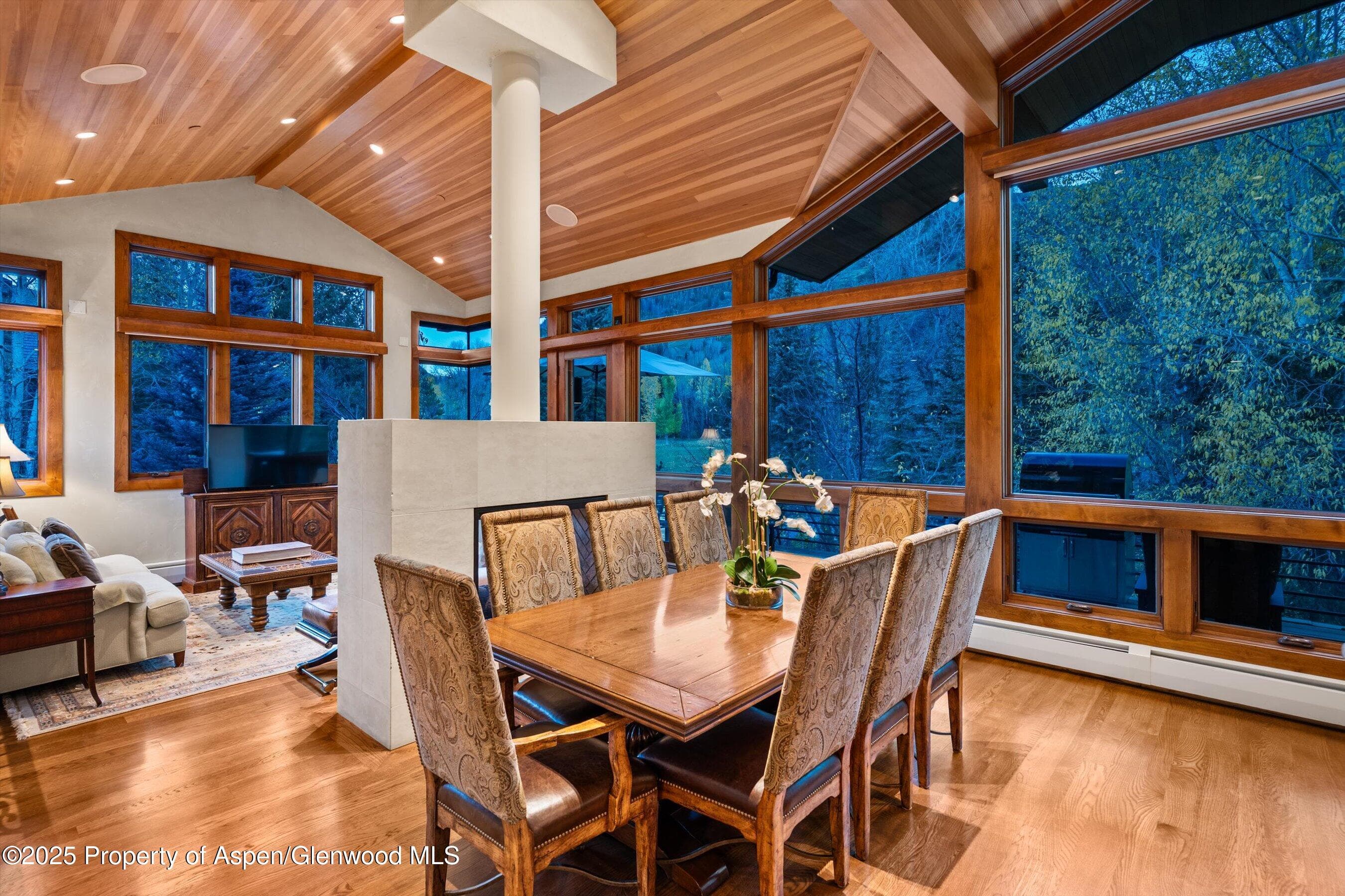 315 S First Street, Aspen, CO 81611 - Photo 6