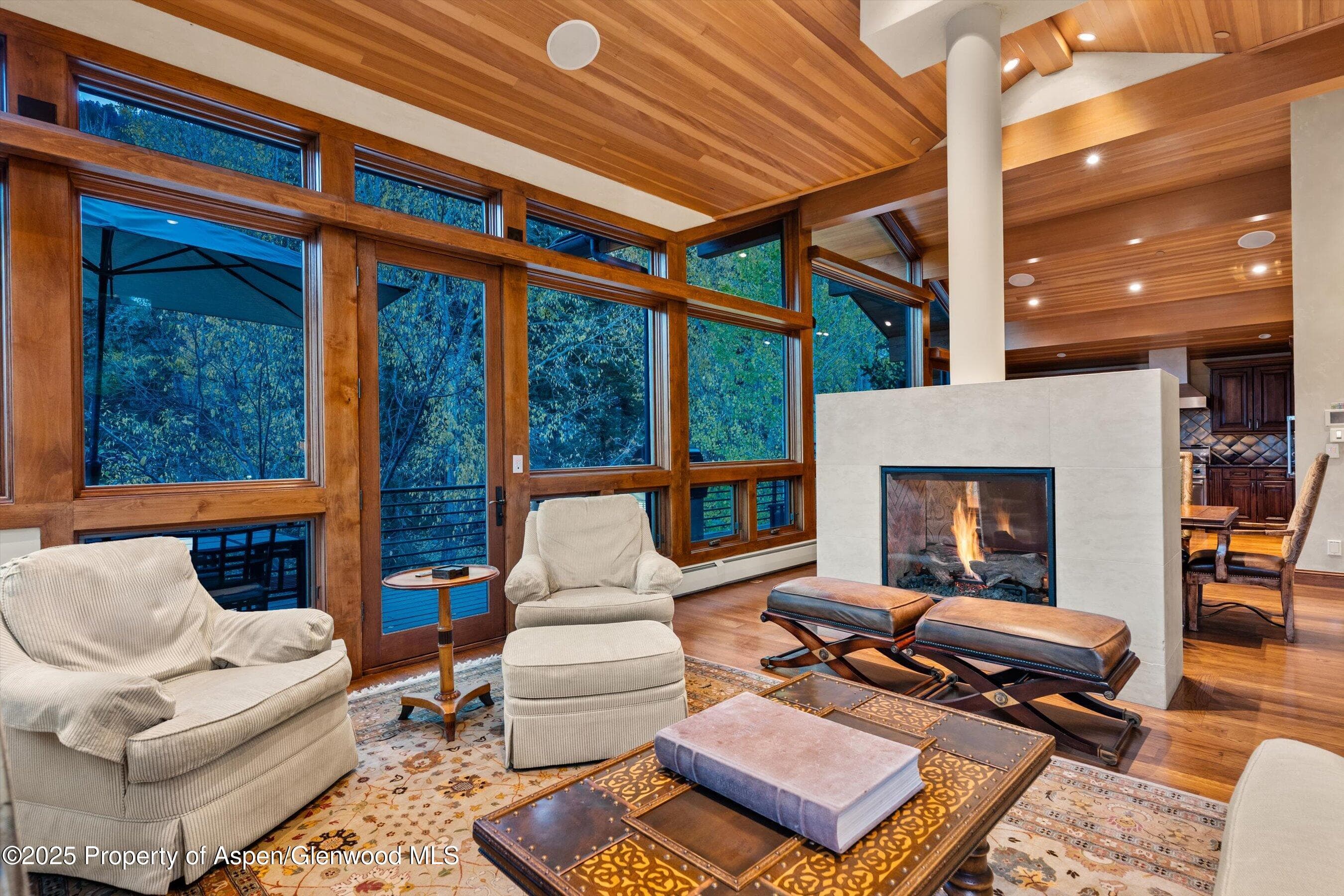 315 S First Street, Aspen, CO 81611 - Photo 3