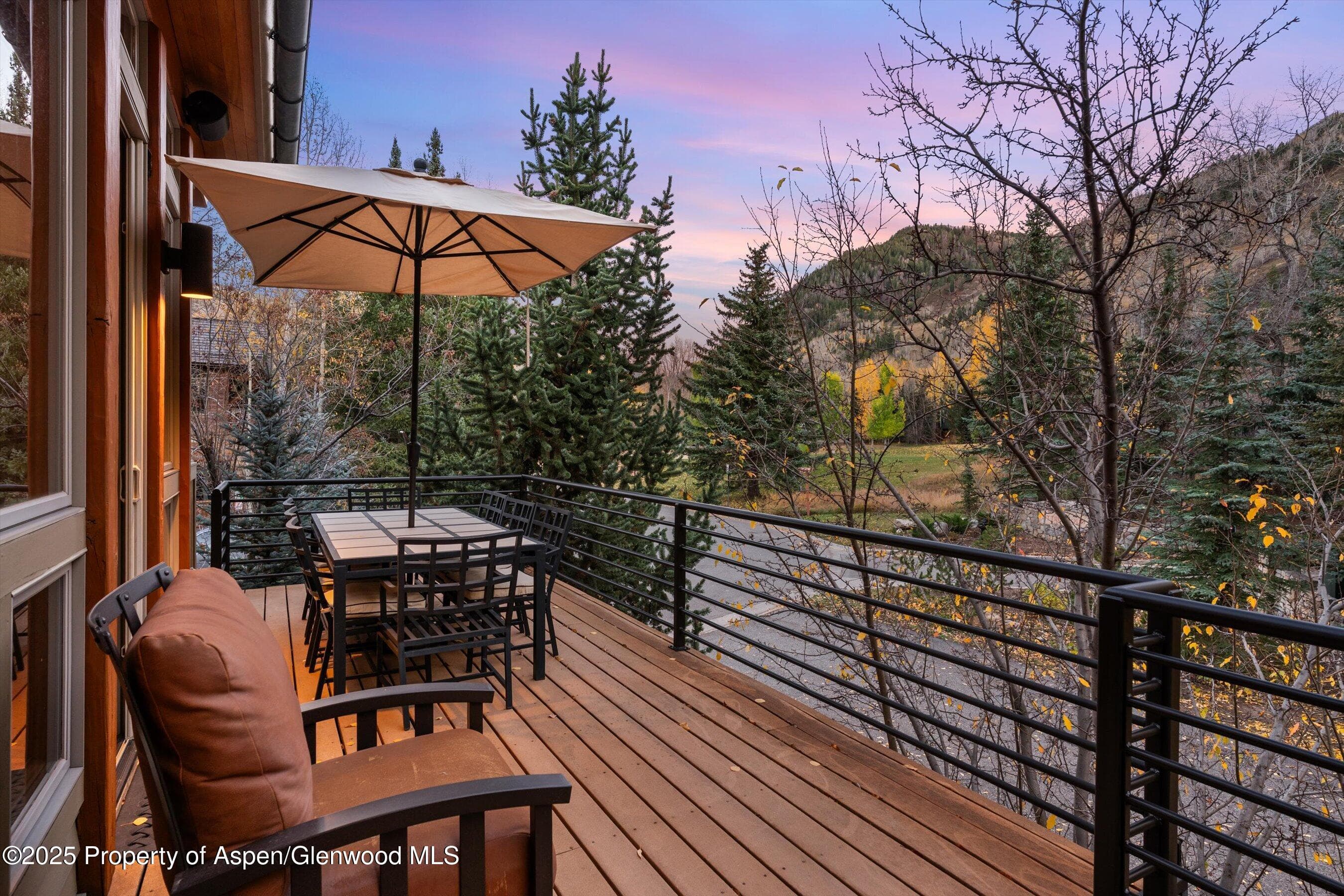 315 S First Street, Aspen, CO 81611 - Photo 10