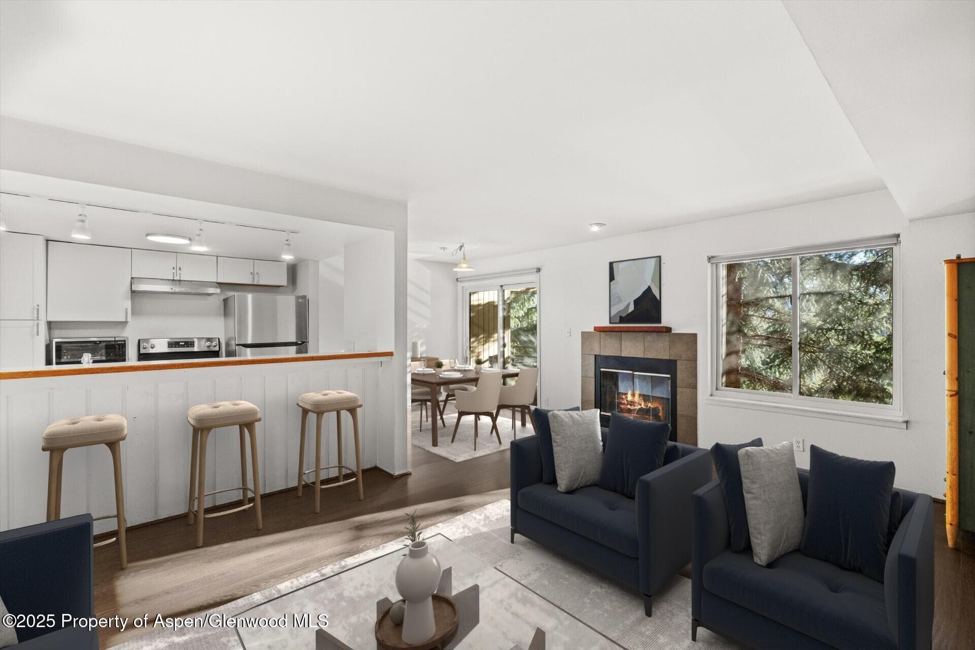 35 Lower Woodbridge Road V/177, Snowmass Village, CO 81615 - Photo 2