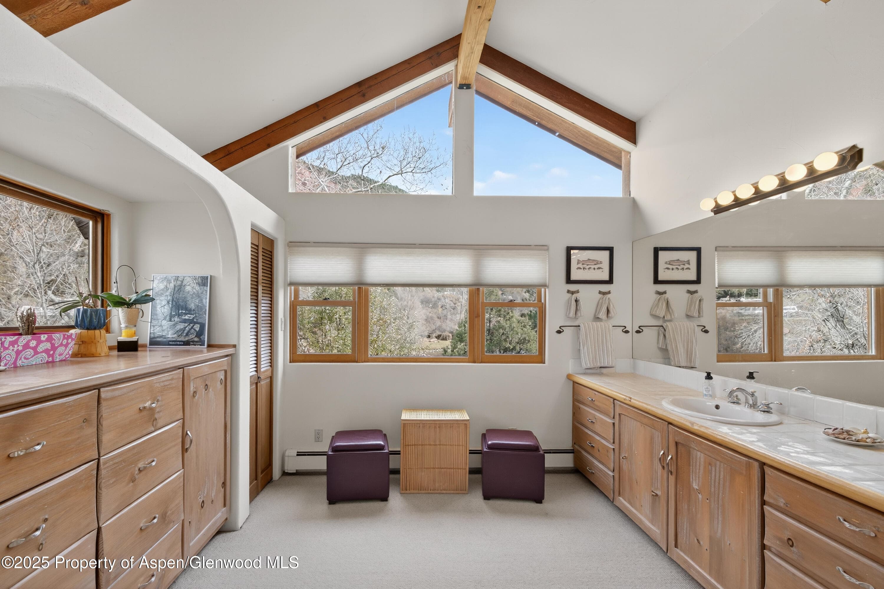 182 County Road 109, Glenwood Springs, CO 81601 - Photo 31