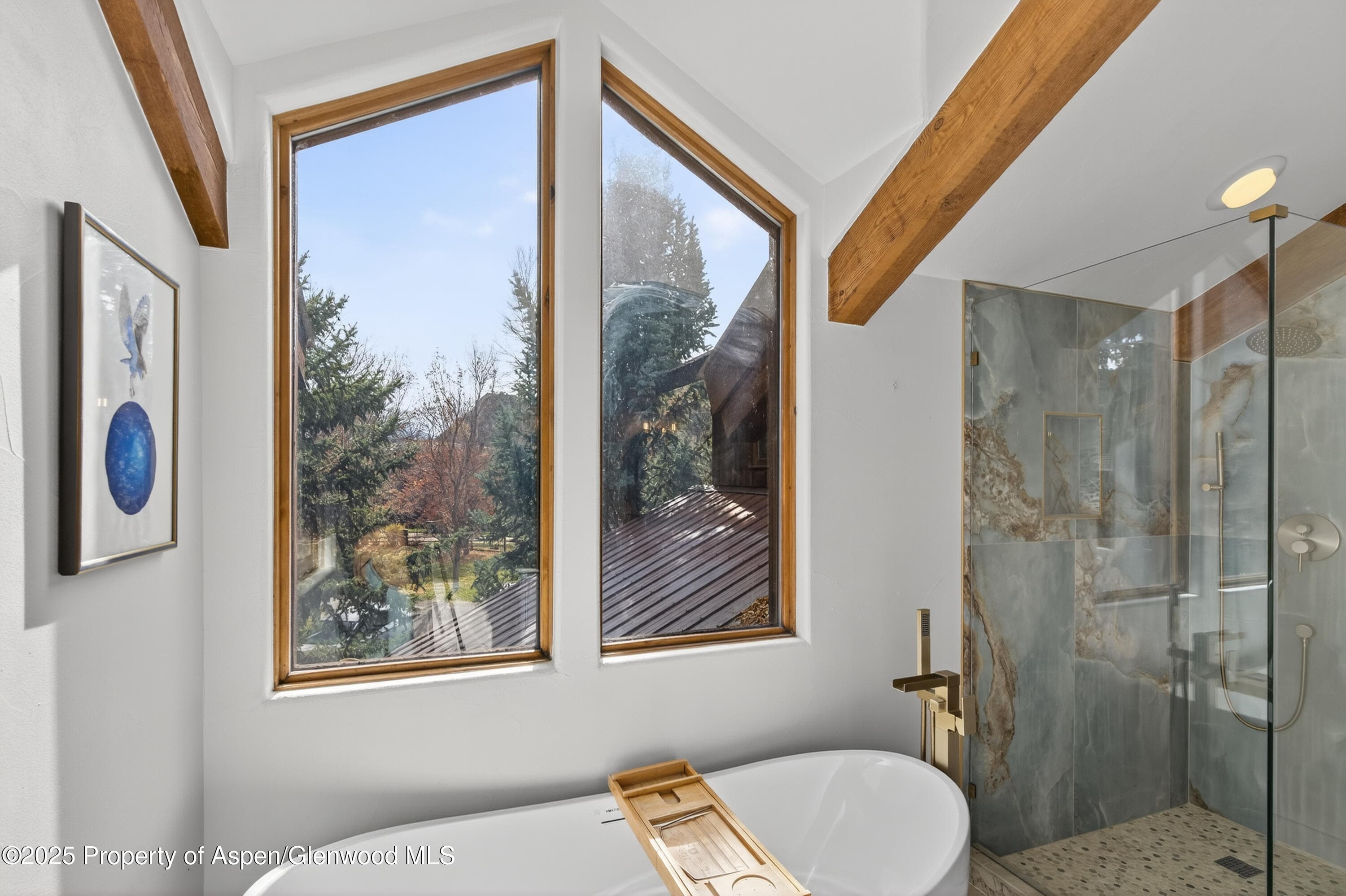 182 County Road 109, Glenwood Springs, CO 81601 - Photo 33