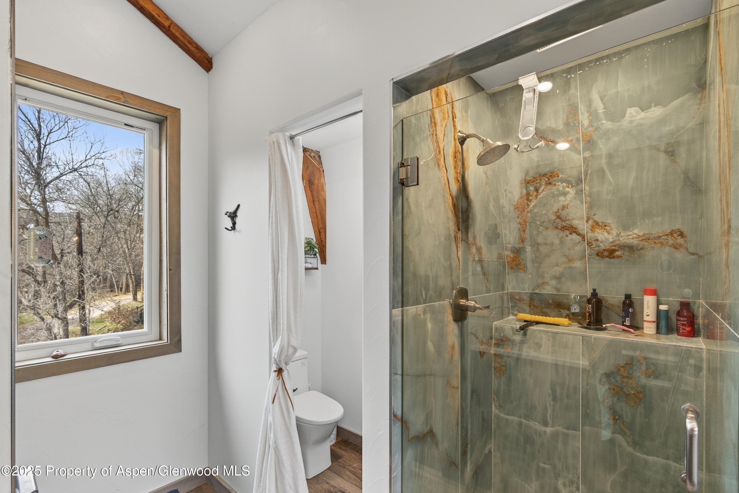 182 County Road 109, Glenwood Springs, CO 81601 - Photo 42