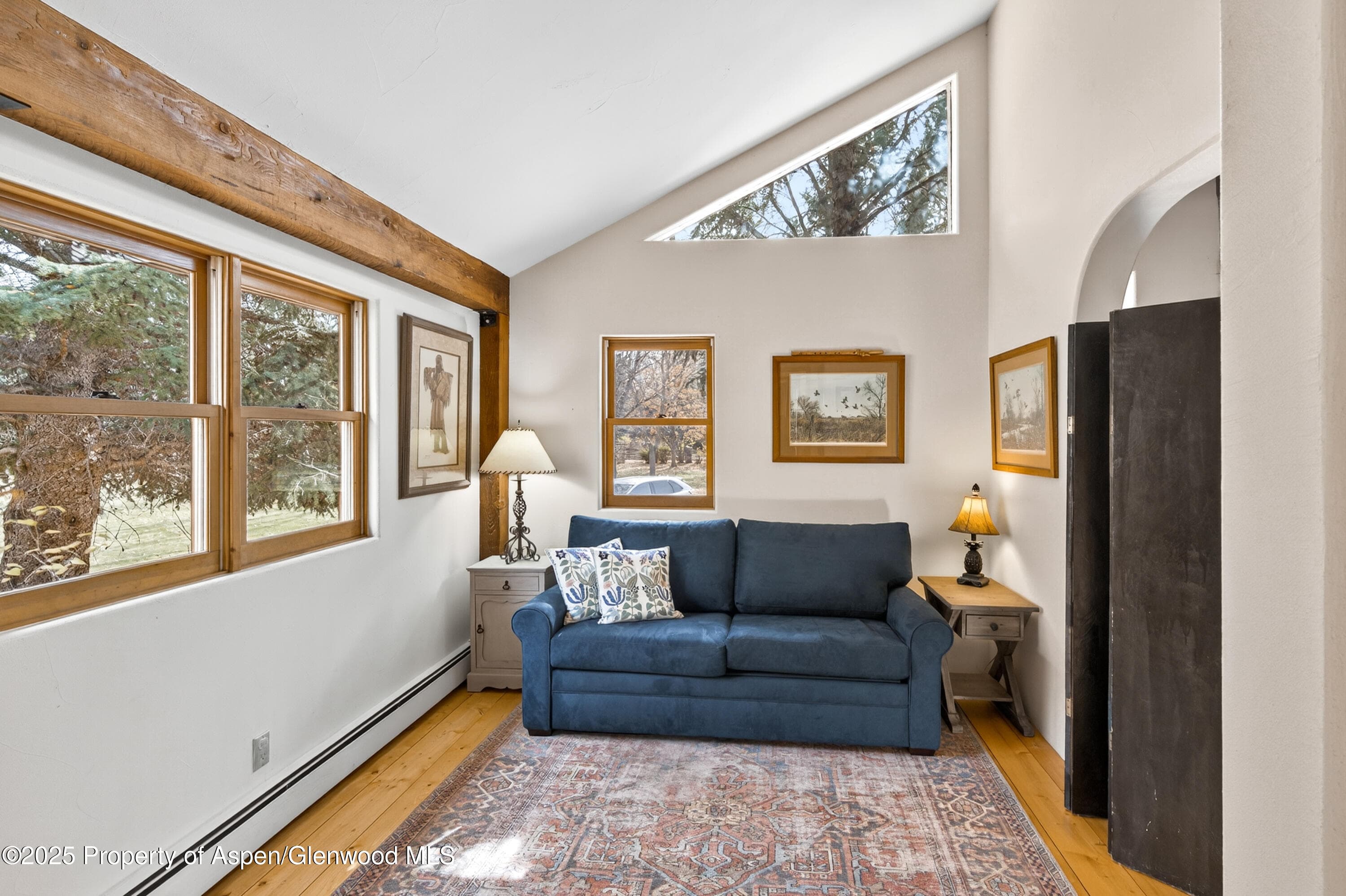 182 County Road 109, Glenwood Springs, CO 81601 - Photo 28