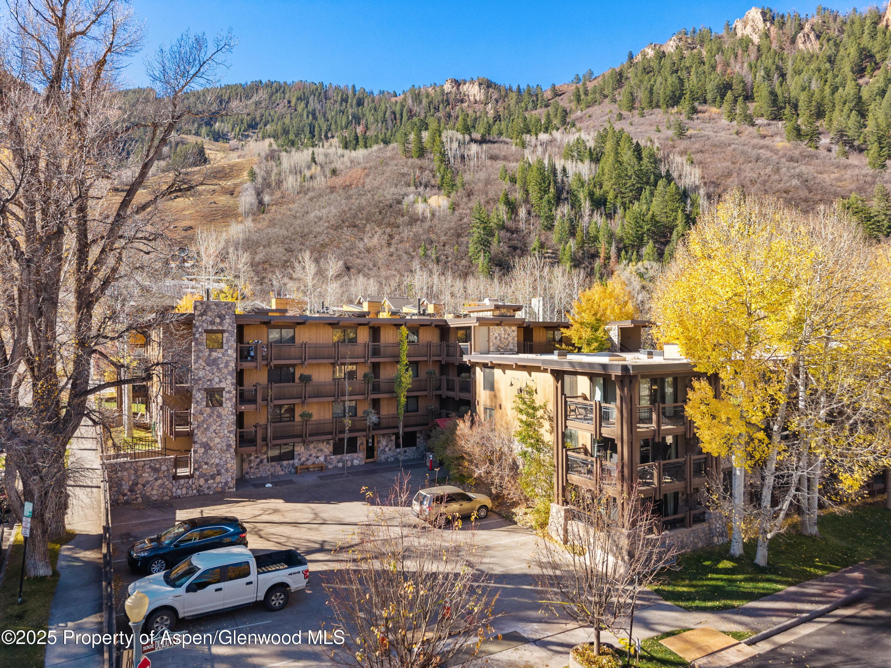 131 E Durant Avenue 202, Aspen, CO 81611
