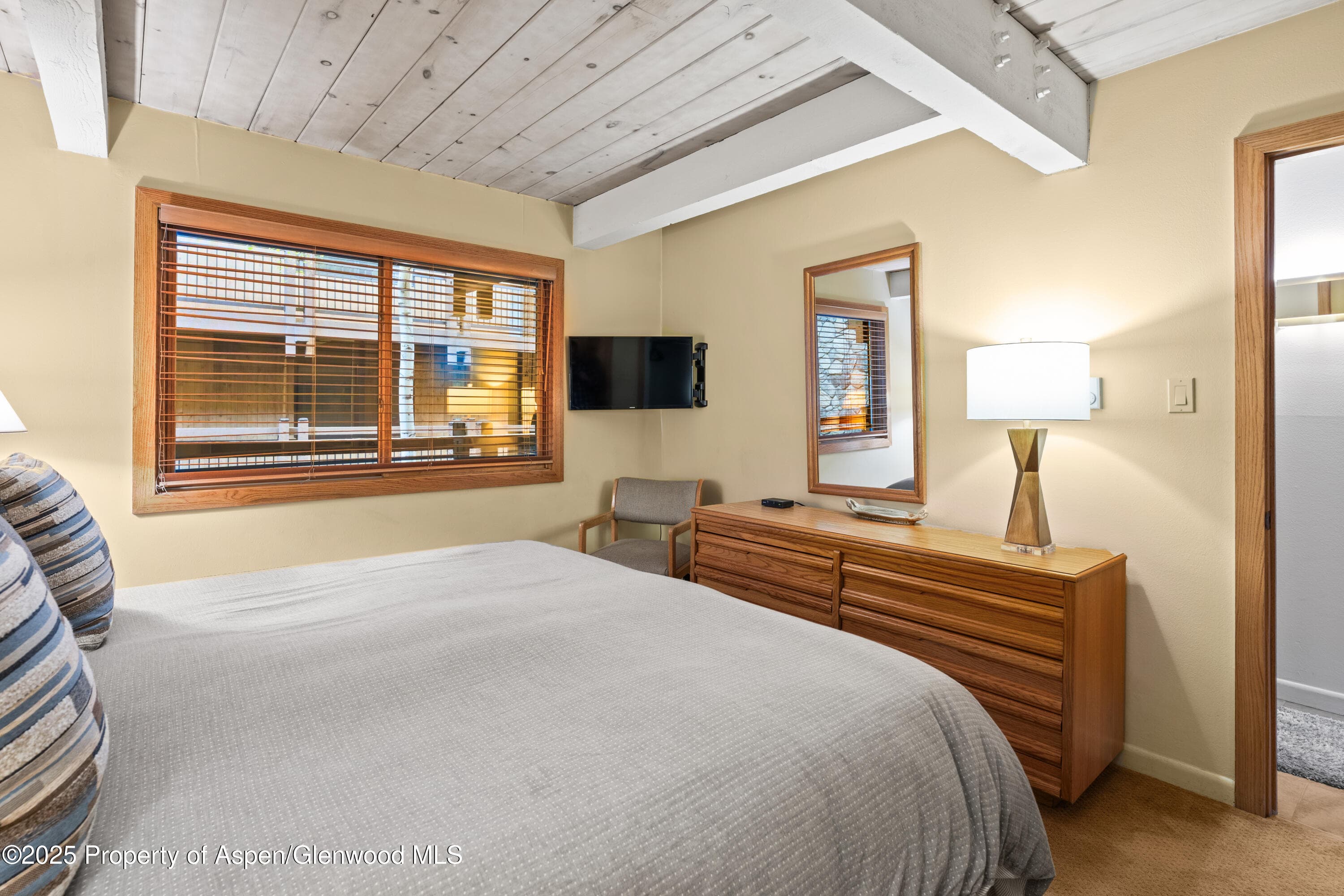 131 E Durant Avenue 202, Aspen, CO 81611 - Photo 12