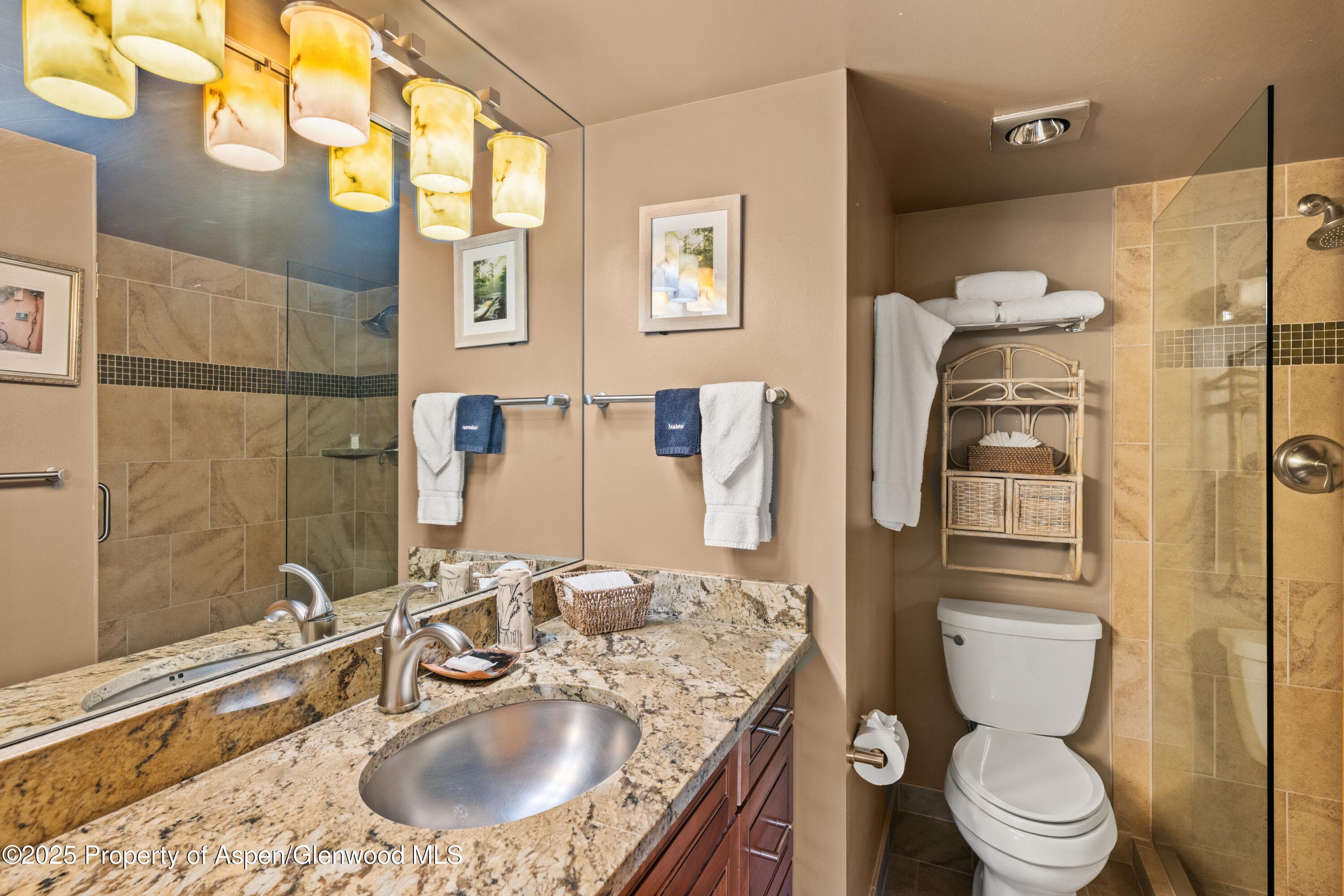 131 E Durant Avenue 202, Aspen, CO 81611 - Photo 13