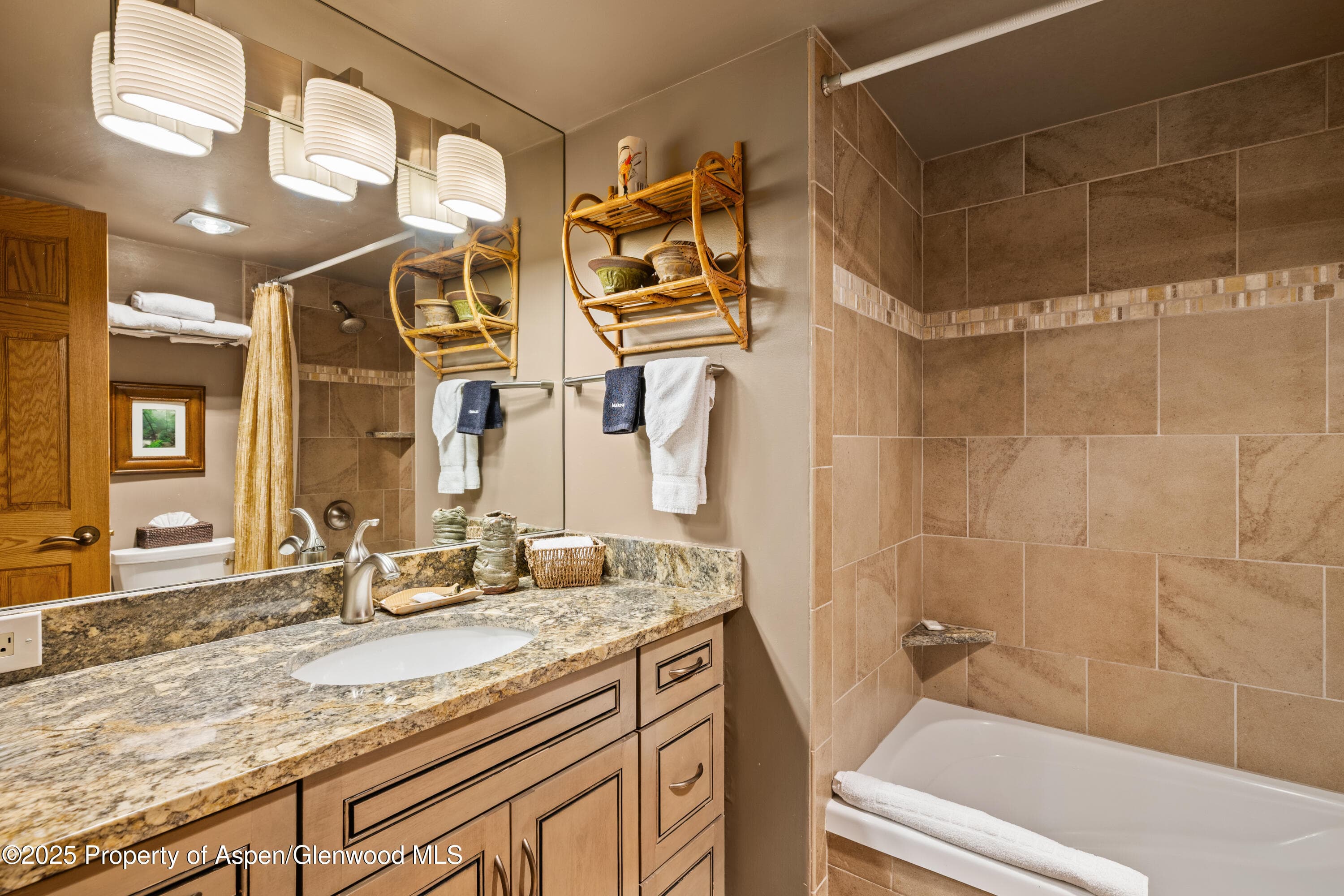 131 E Durant Avenue 202, Aspen, CO 81611 - Photo 11