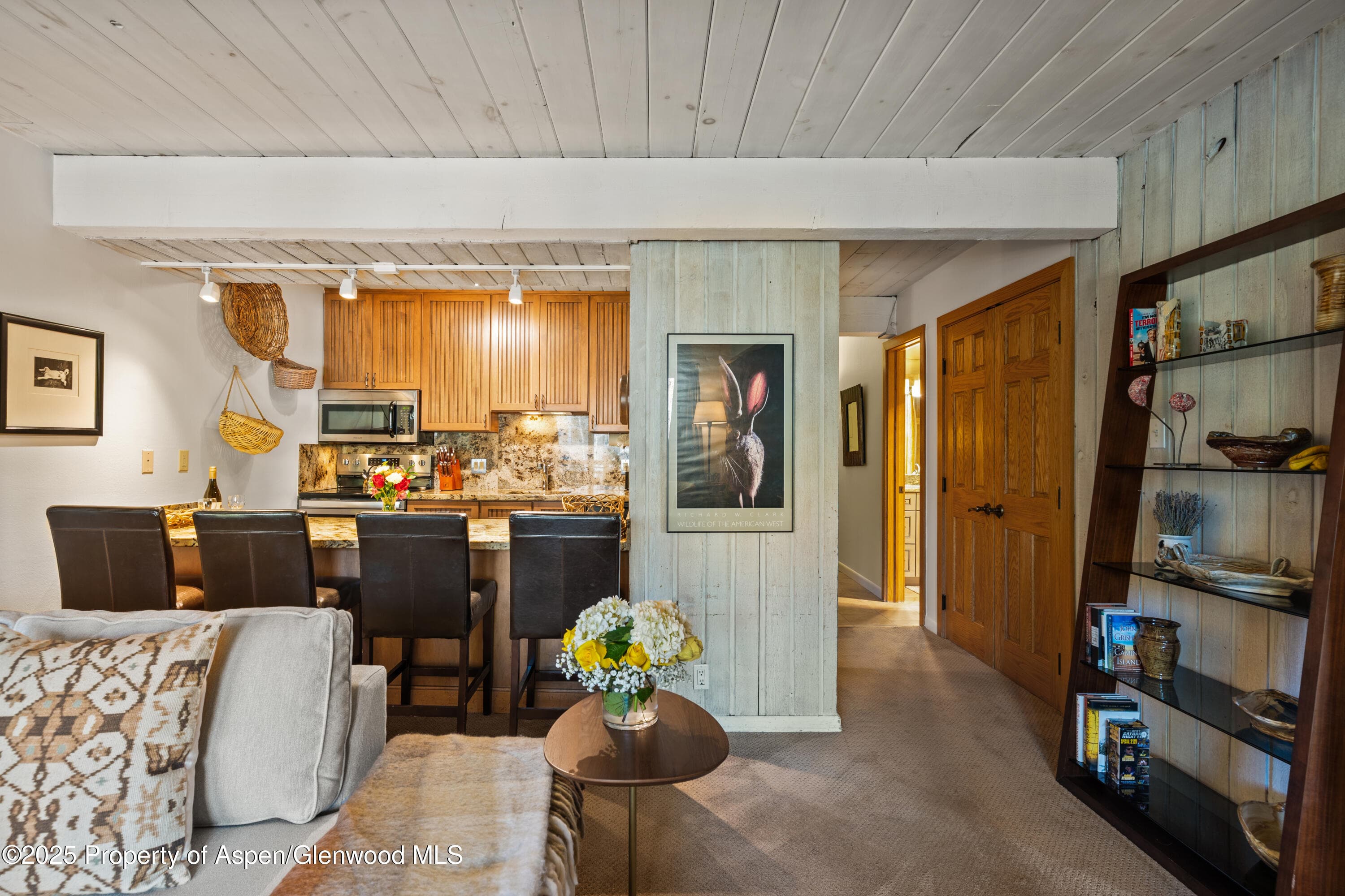 131 E Durant Avenue 202, Aspen, CO 81611 - Photo 5