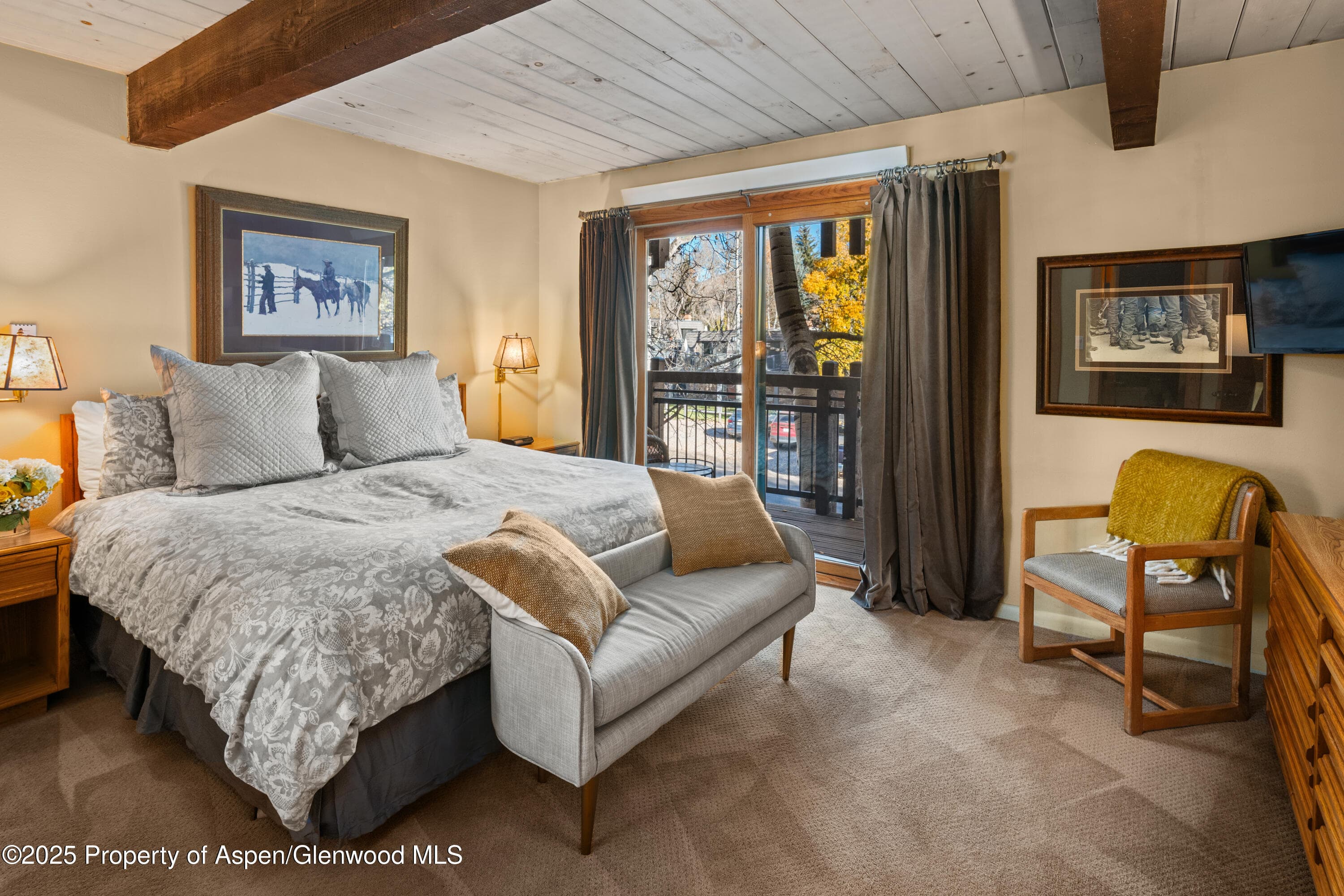 131 E Durant Avenue 202, Aspen, CO 81611 - Photo 9