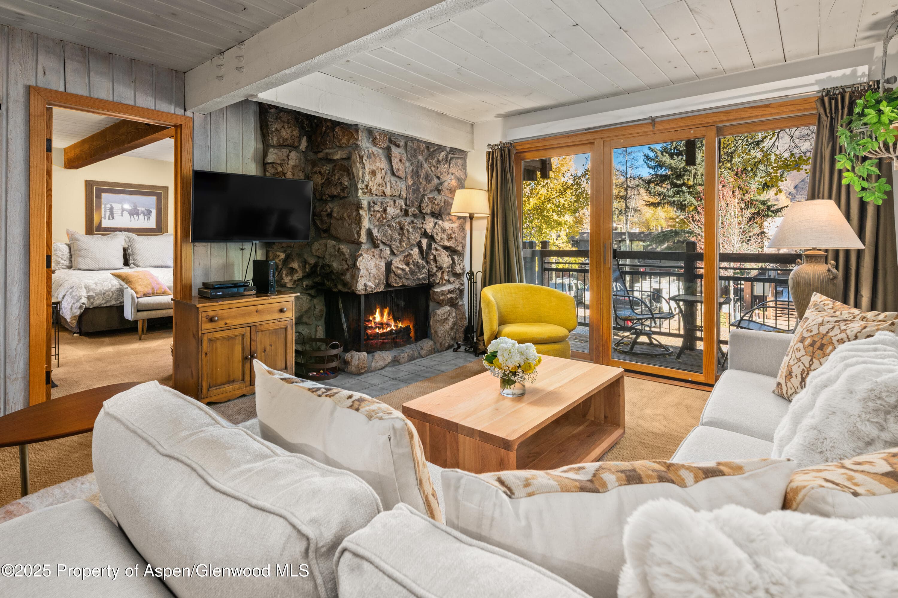 131 E Durant Avenue 202, Aspen, CO 81611 - Photo 4