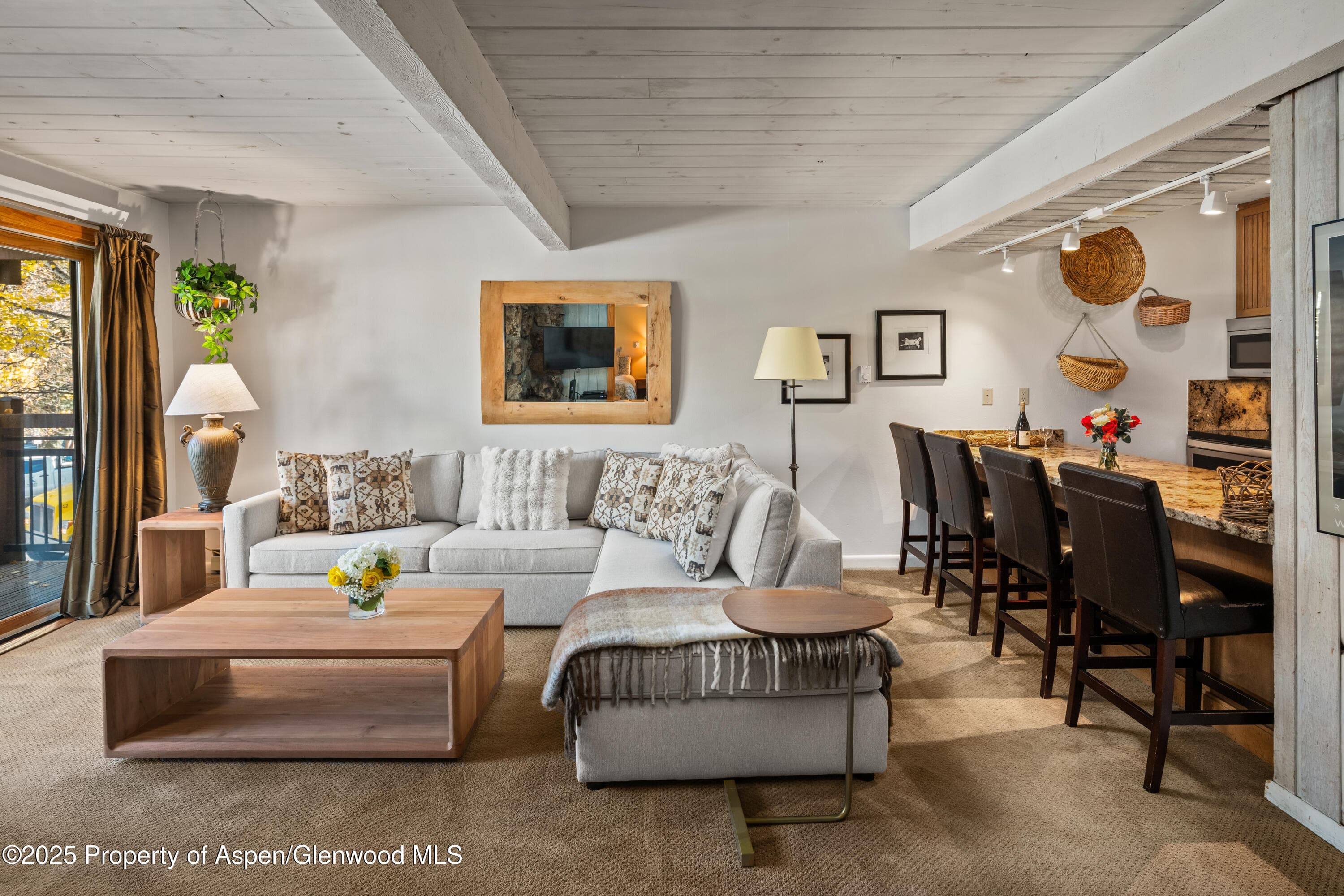 131 E Durant Avenue 202, Aspen, CO 81611 - Photo 2