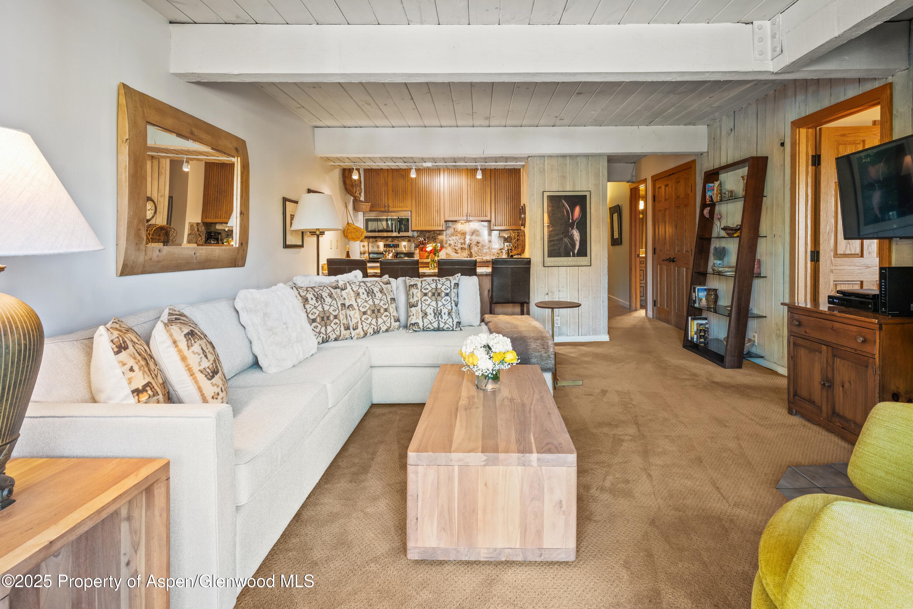 131 E Durant Avenue 202, Aspen, CO 81611 - Photo 3