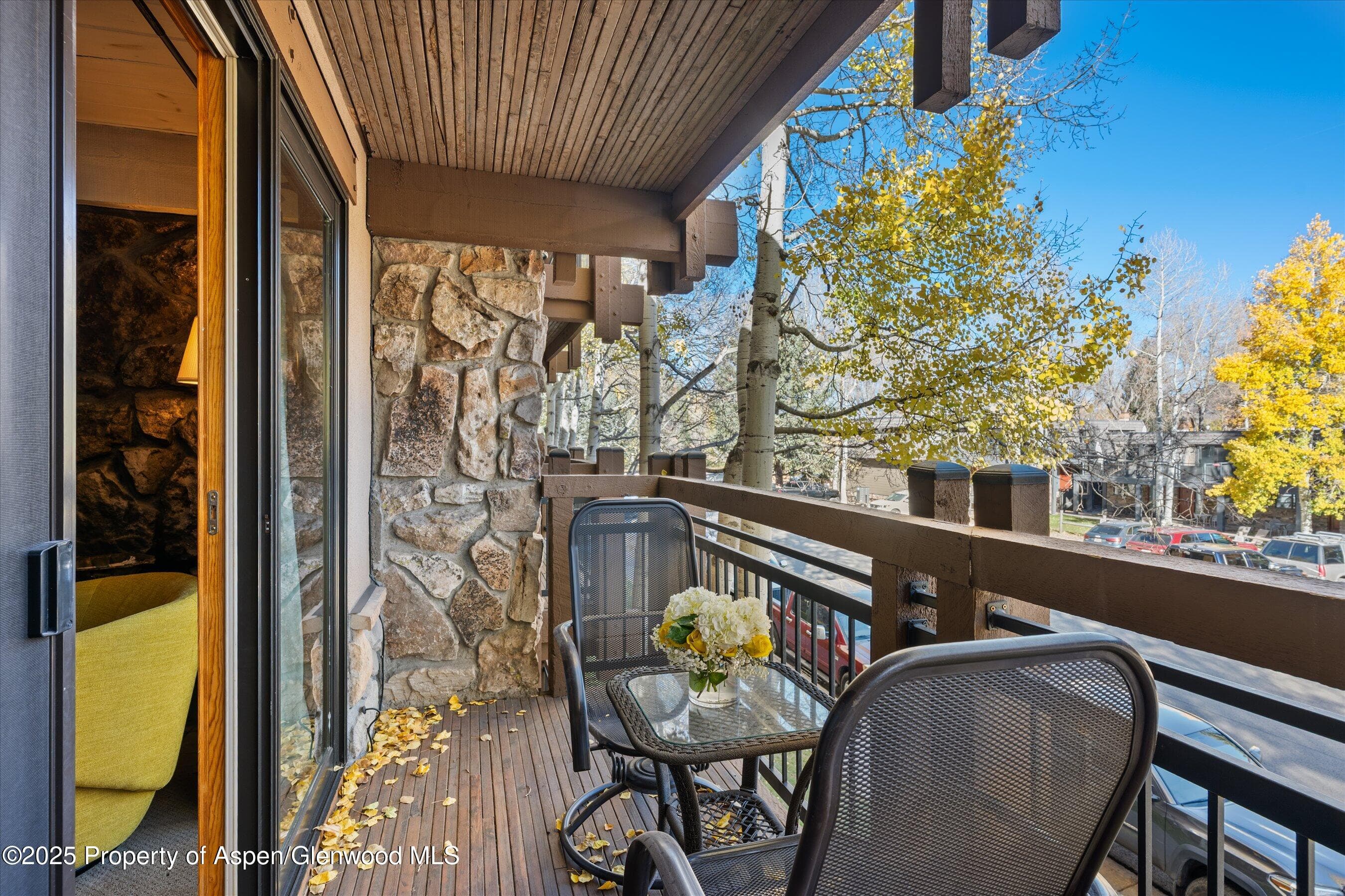 131 E Durant Avenue 202, Aspen, CO 81611 - Photo 8