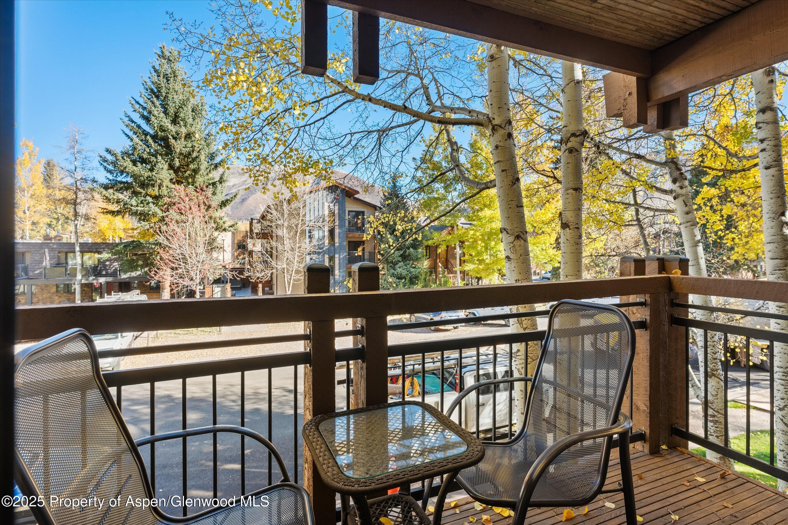 131 E Durant Avenue 202, Aspen, CO 81611 - Photo 7