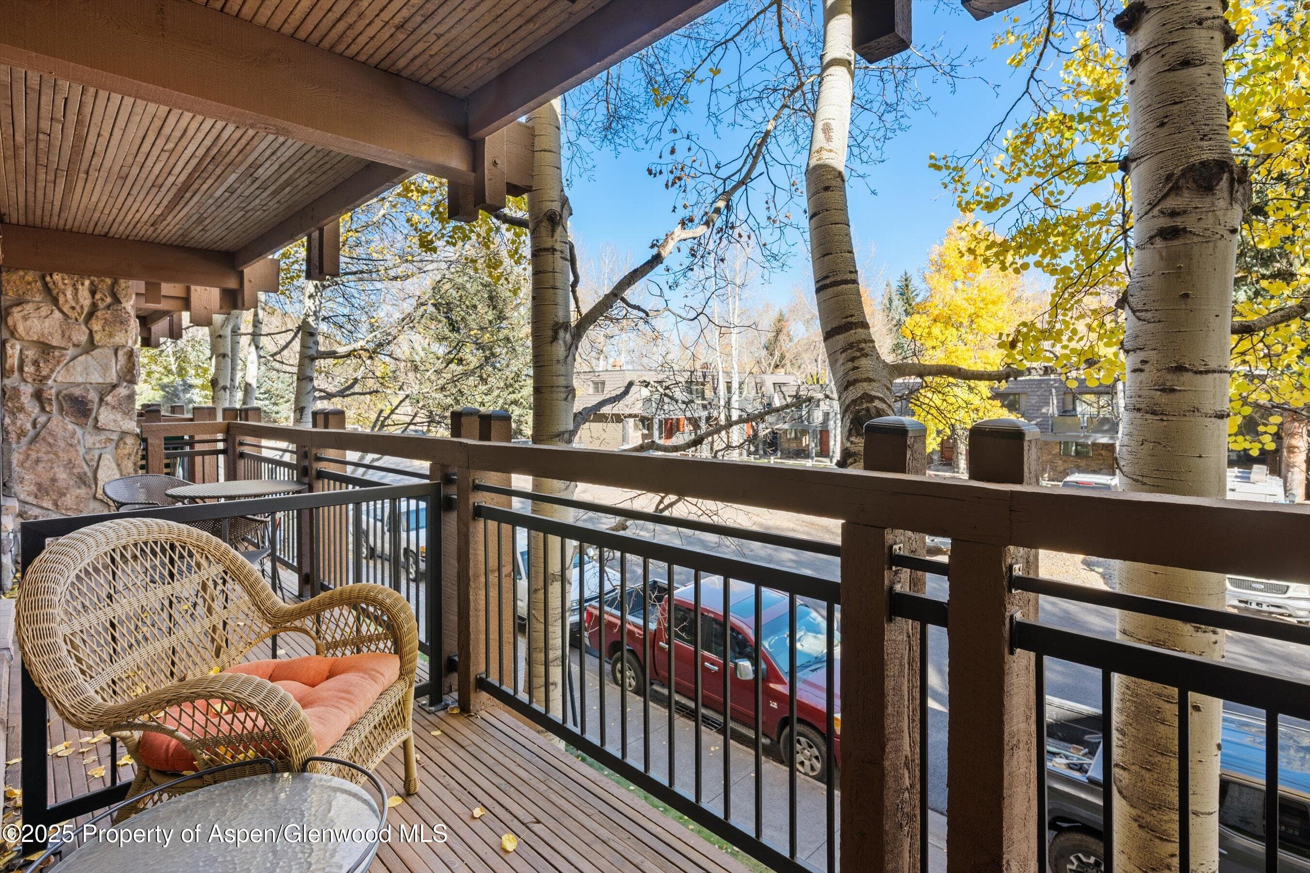 131 E Durant Avenue 202, Aspen, CO 81611 - Photo 10
