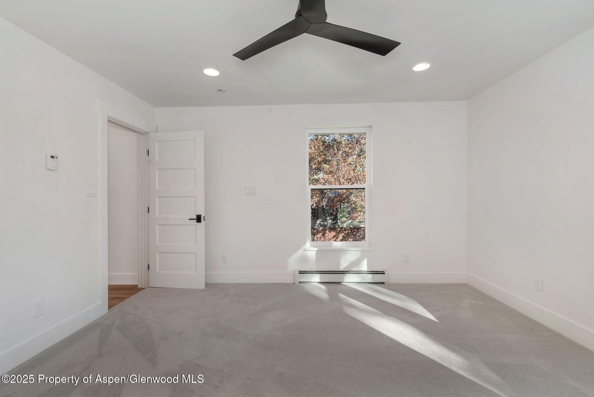 340 E JEFFERSON Avenue, Hayden, CO 81639 - Photo 29