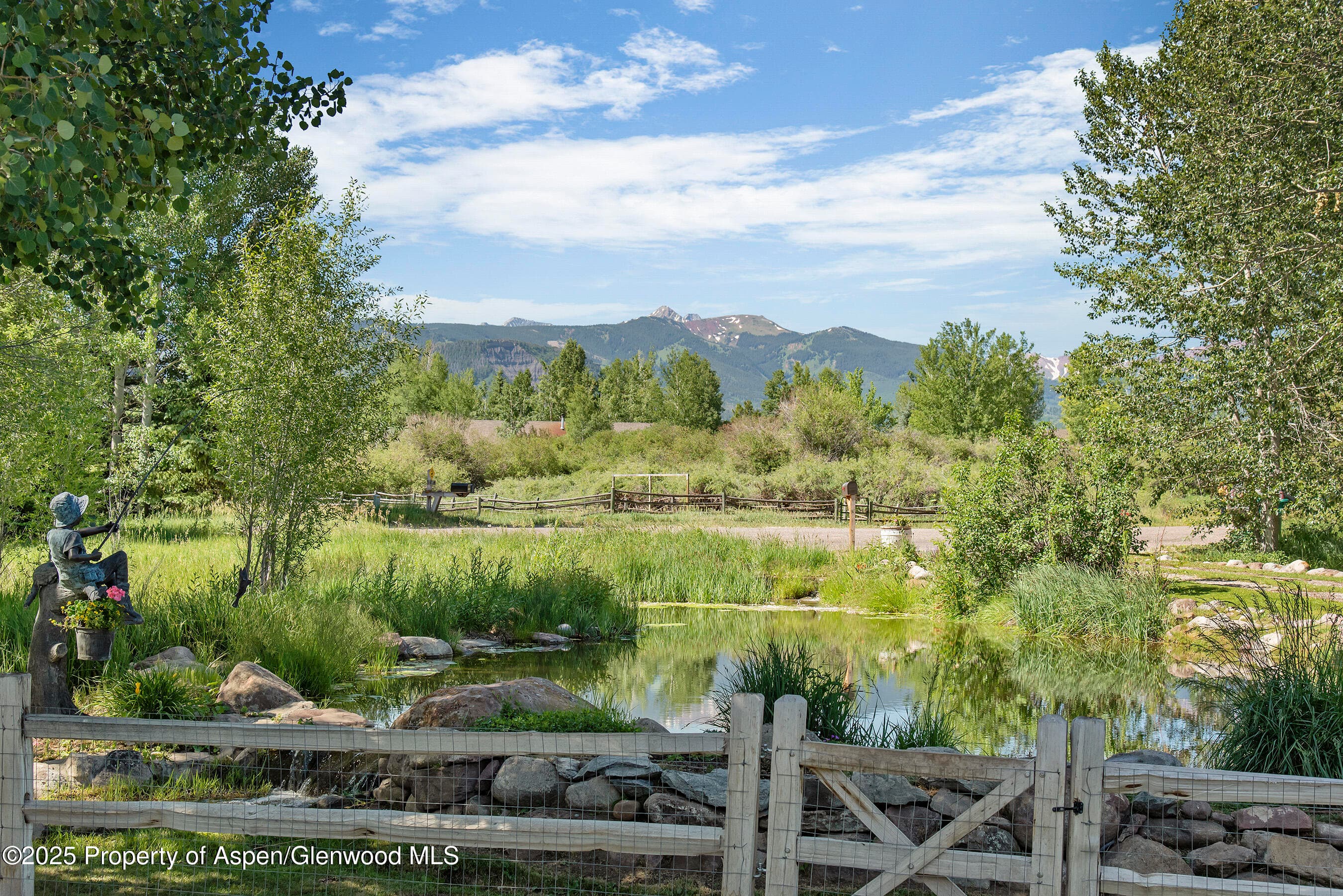 61 Davidson Lane, Snowmass, CO 81654 - Photo 12