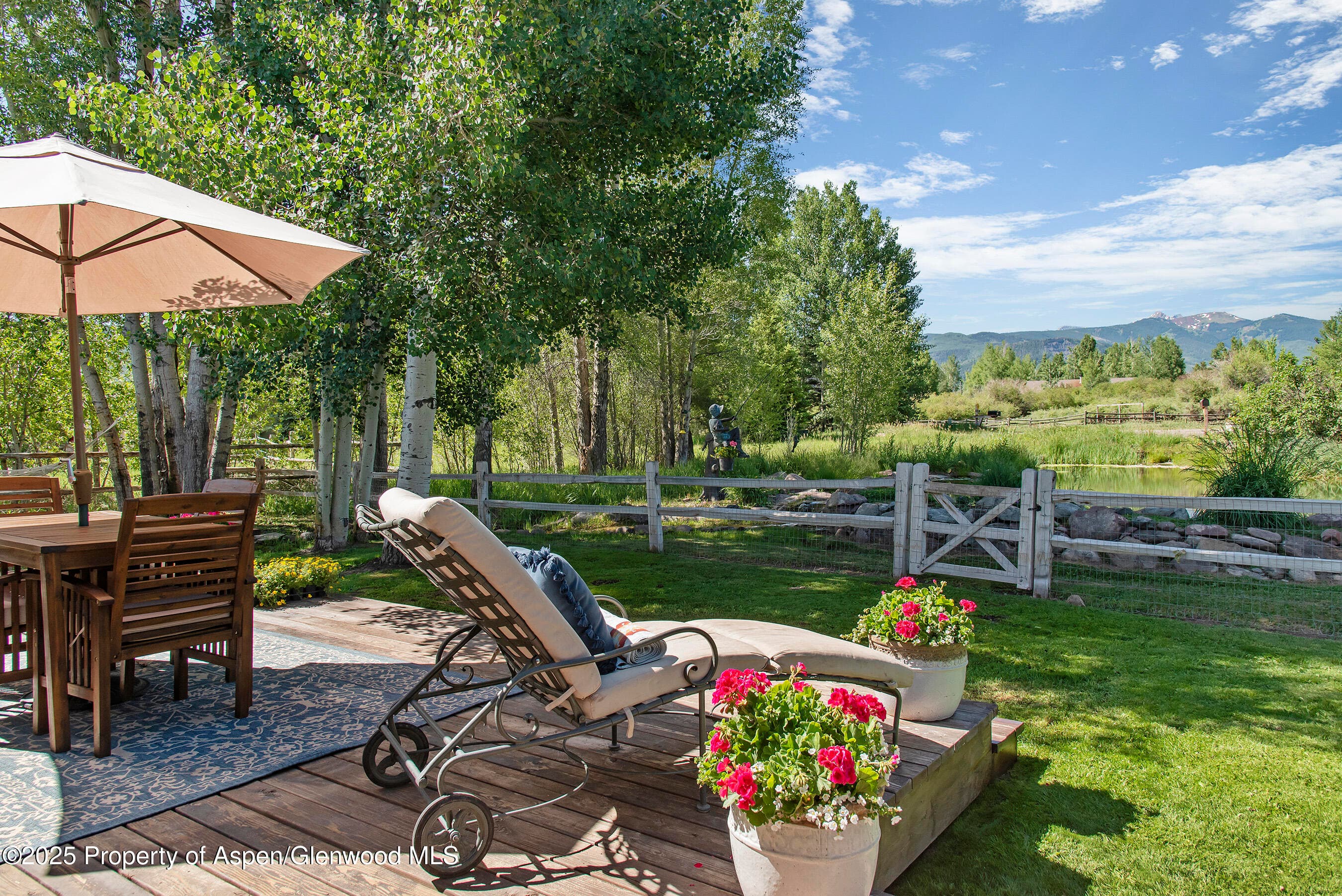 61 Davidson Lane, Snowmass, CO 81654 - Photo 15